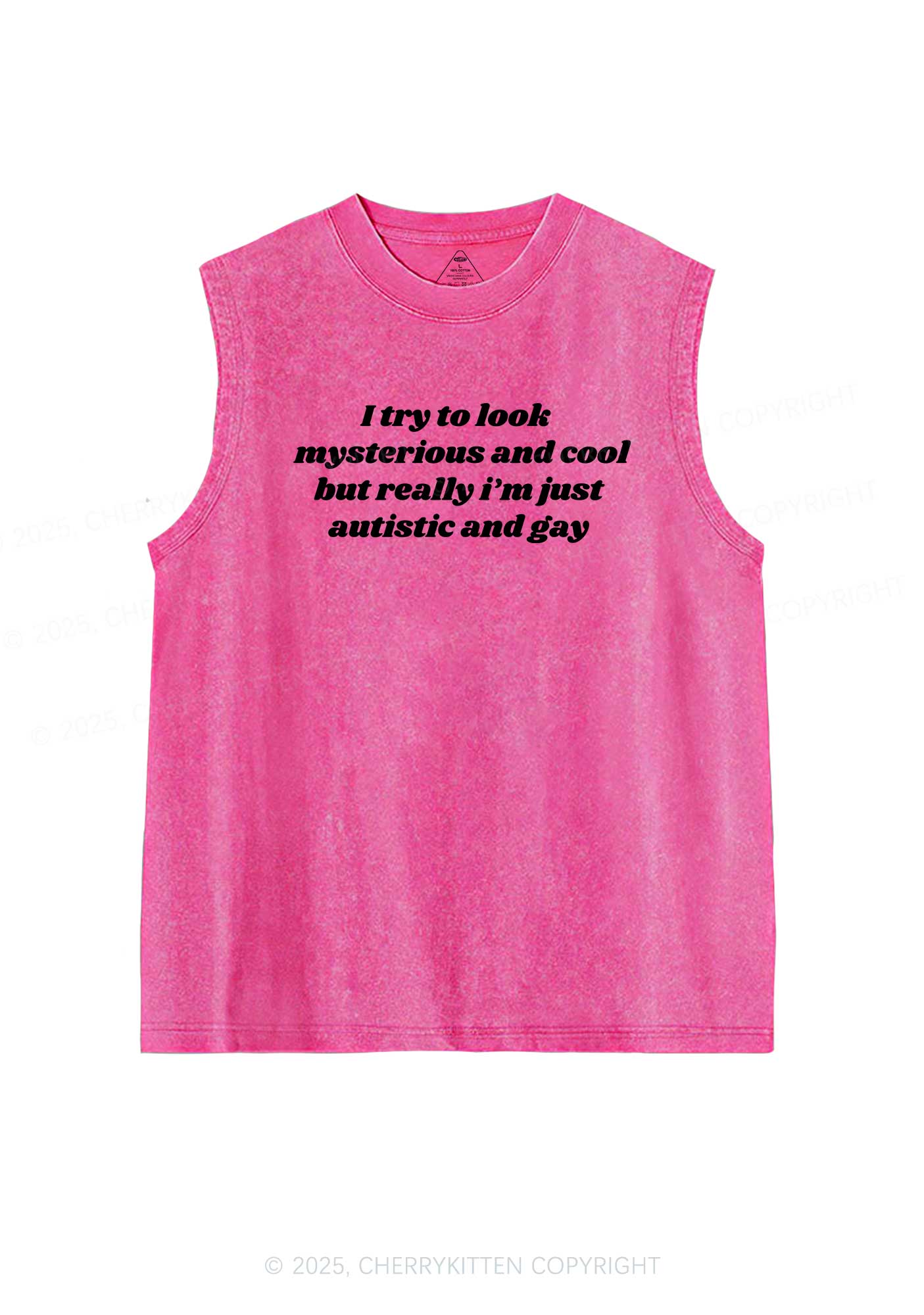 Im Just Autistic And Gay Pride Y2K Washed Muscle Tank Cherrykitten - Image 3
