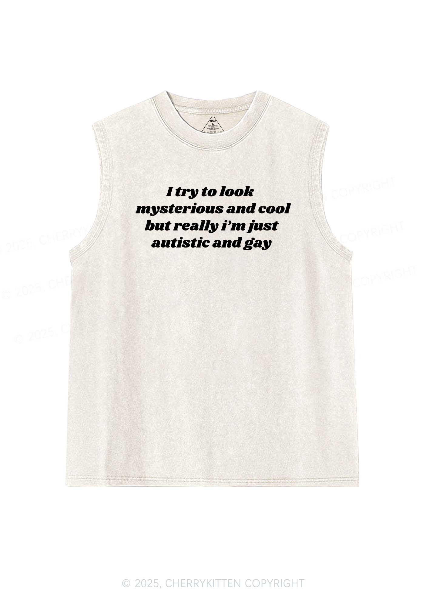 Im Just Autistic And Gay Pride Y2K Washed Muscle Tank Cherrykitten - Image 4