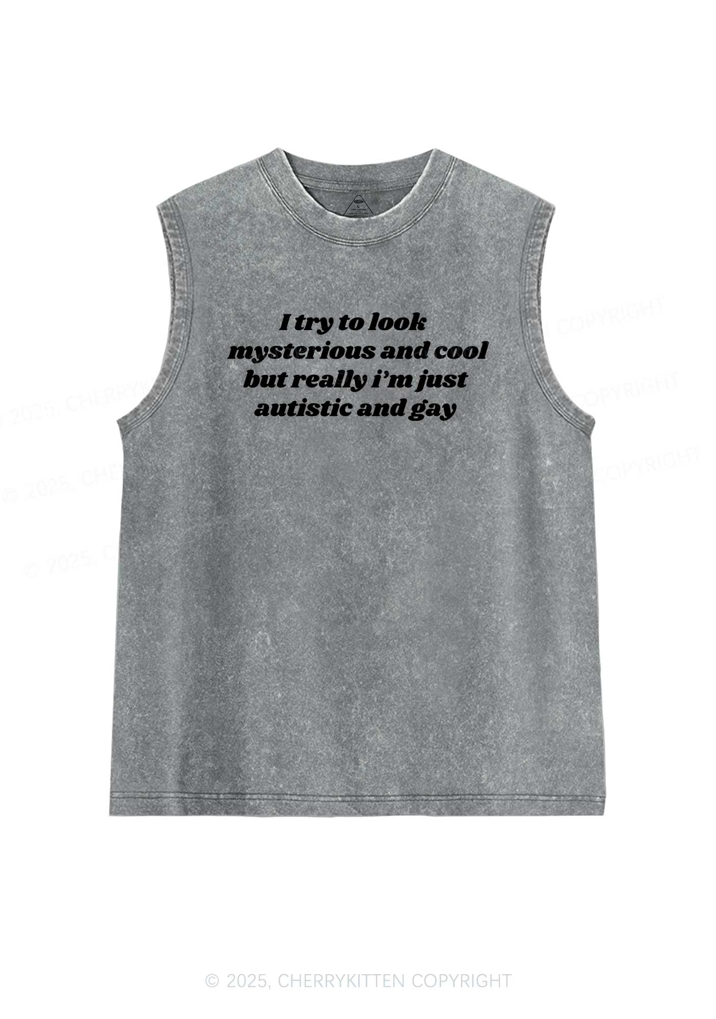 Im Just Autistic And Gay Pride Y2K Washed Muscle Tank Cherrykitten - Image 5