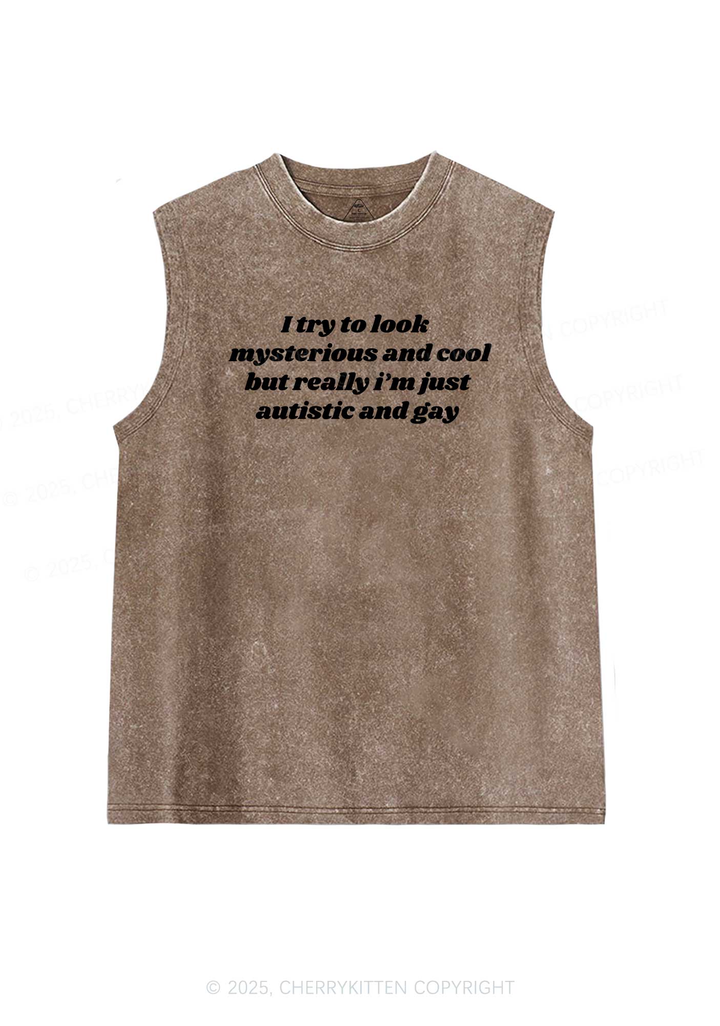 Im Just Autistic And Gay Pride Y2K Washed Muscle Tank Cherrykitten - Image 6