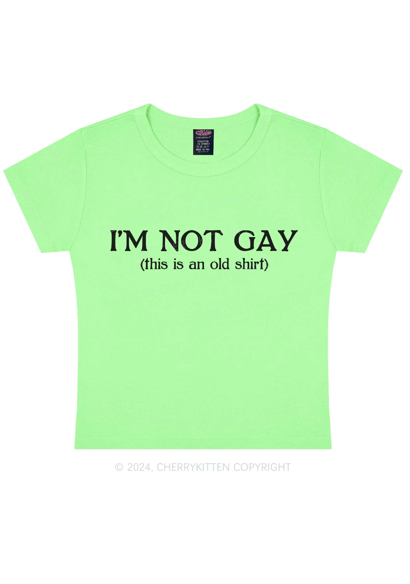 I'm Not Gay Y2K Baby Tee Cherrykitten - Image 11