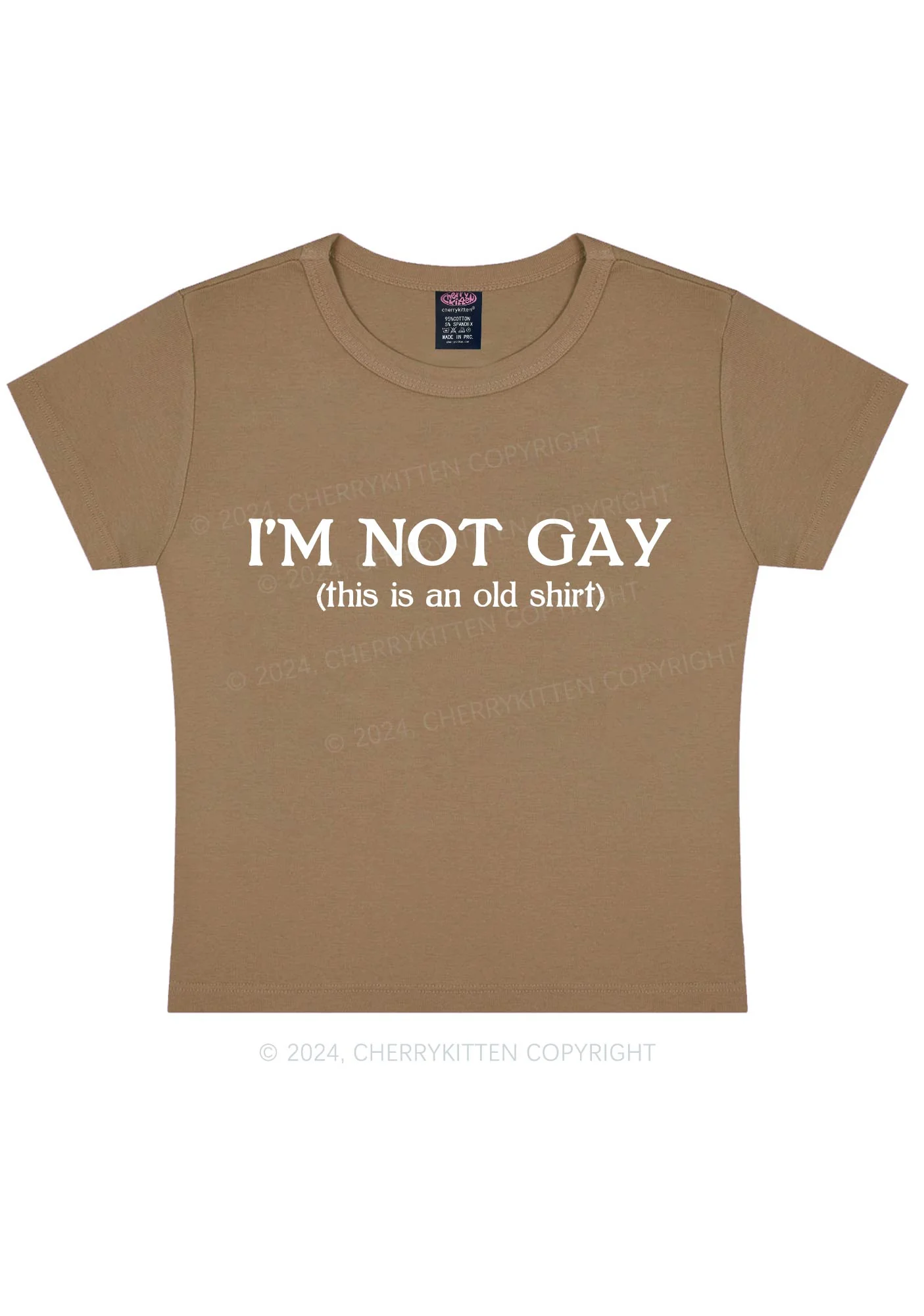 I'm Not Gay Y2K Baby Tee Cherrykitten - Image 12