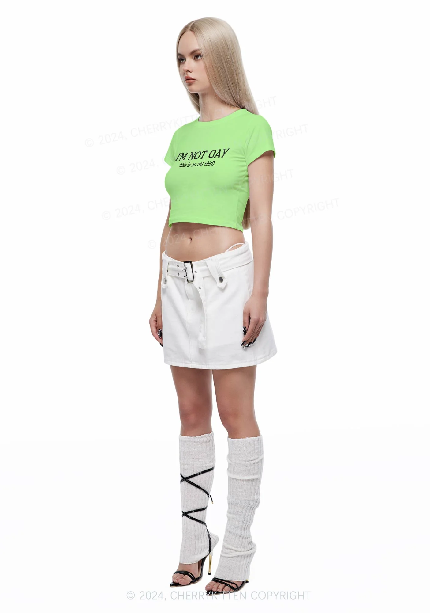 I'm Not Gay Y2K Baby Tee Cherrykitten - Image 4