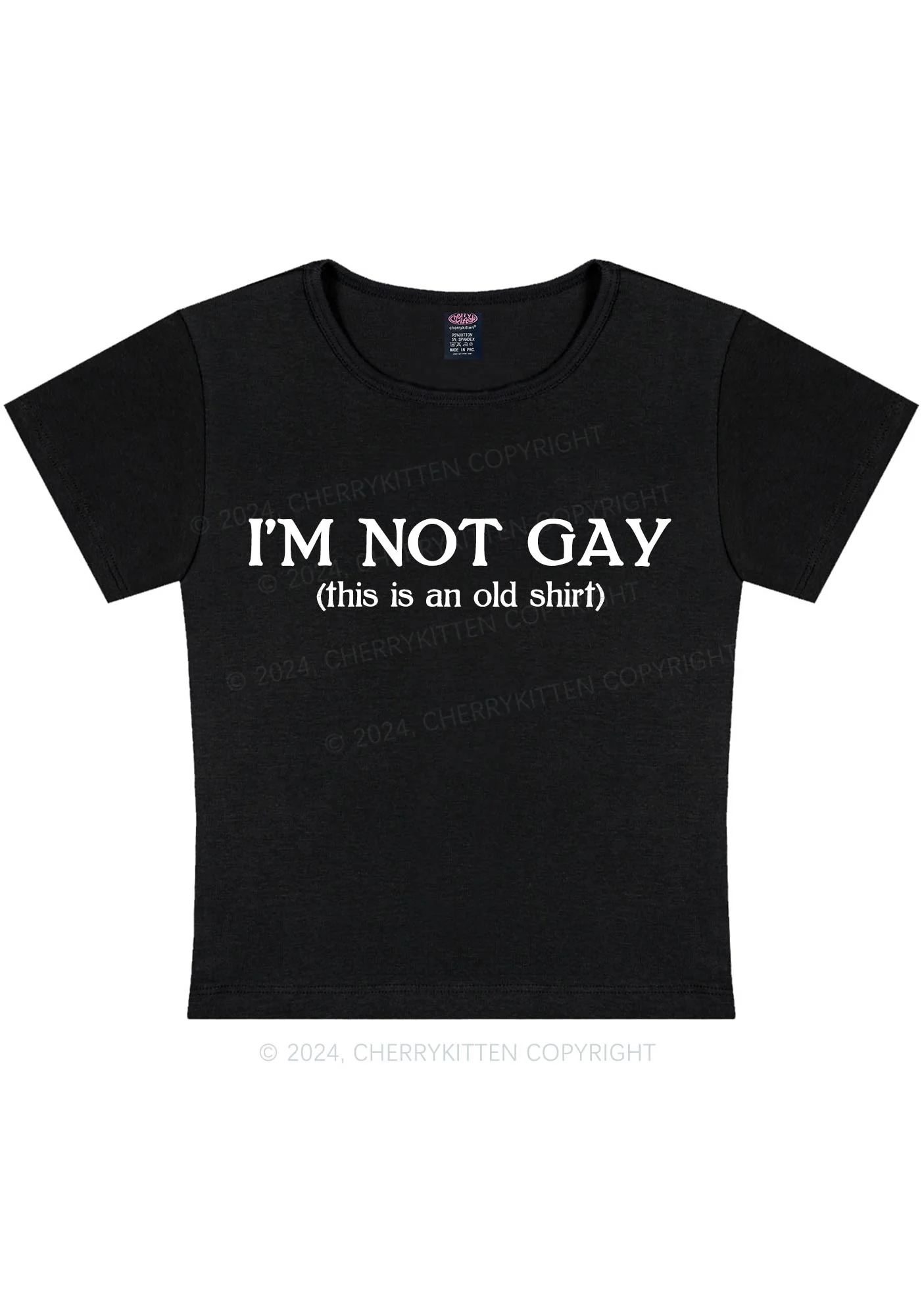 I'm Not Gay Y2K Baby Tee Cherrykitten - Image 5