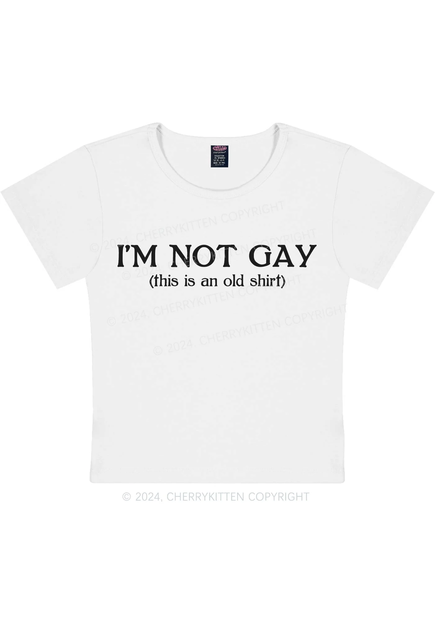 I'm Not Gay Y2K Baby Tee Cherrykitten - Image 6
