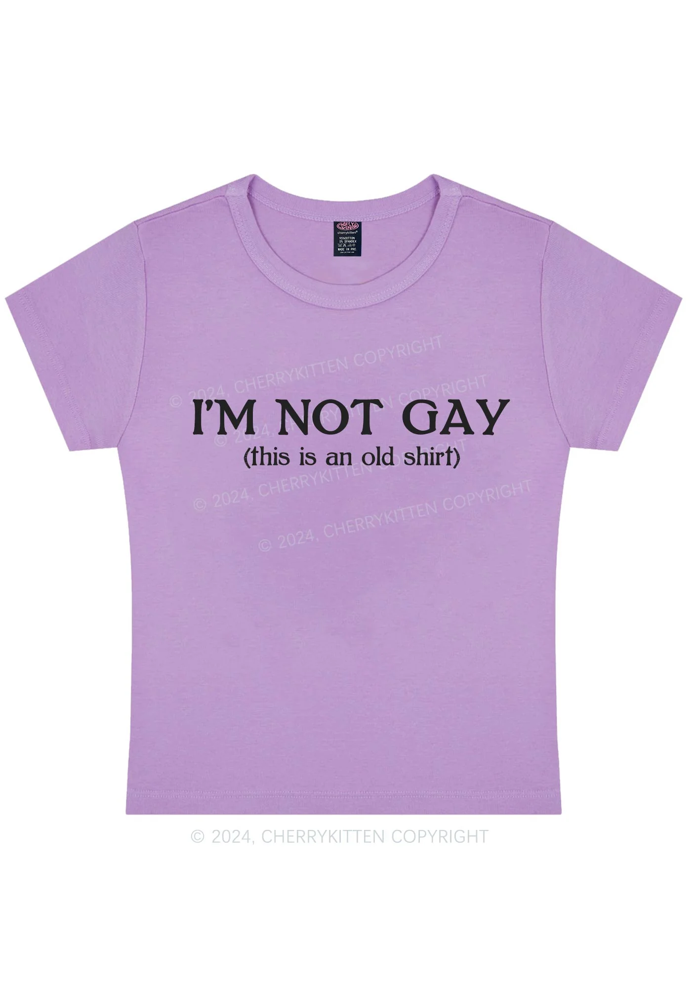 I'm Not Gay Y2K Baby Tee Cherrykitten - Image 7