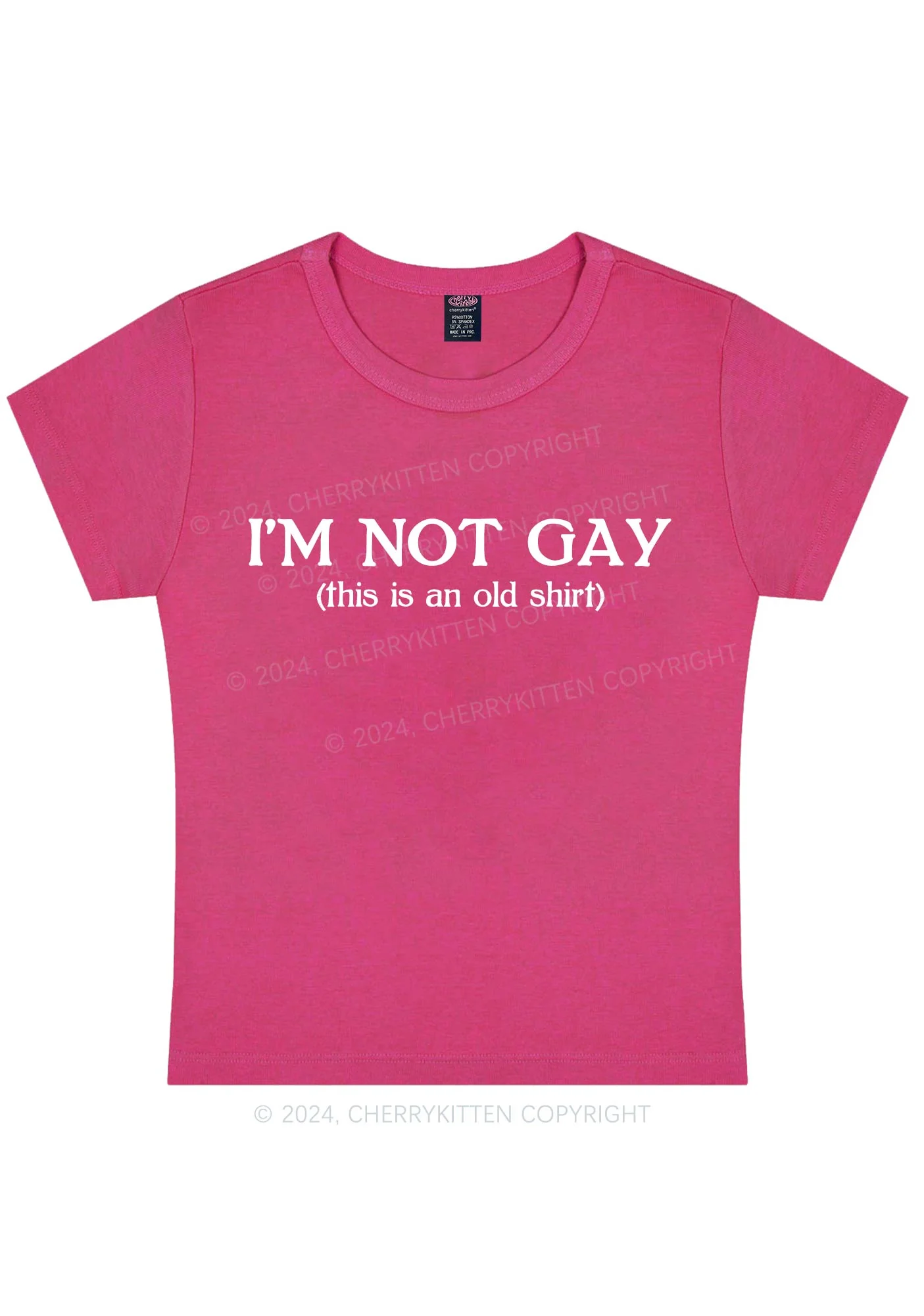 I'm Not Gay Y2K Baby Tee Cherrykitten - Image 8