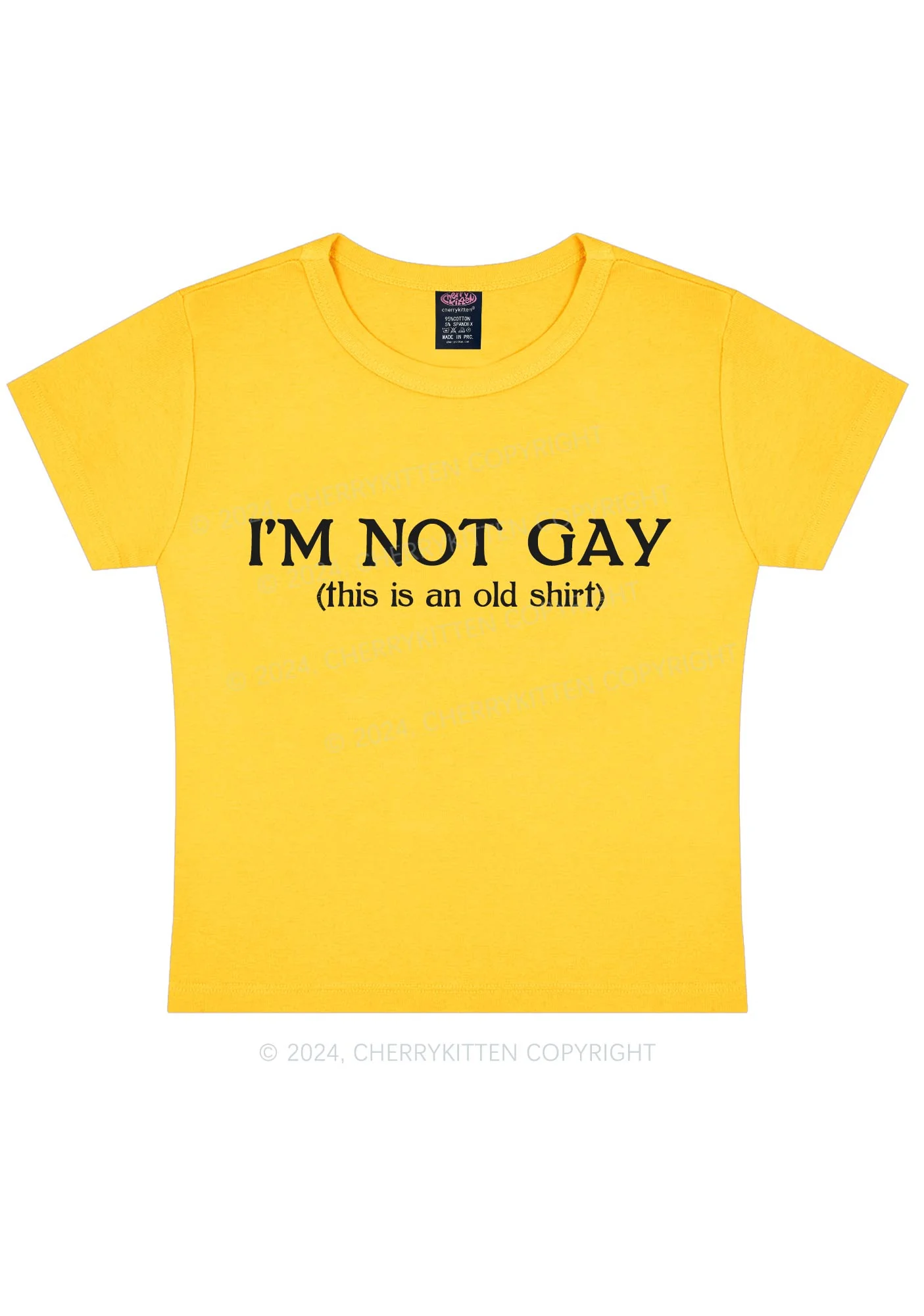 I'm Not Gay Y2K Baby Tee Cherrykitten - Image 9