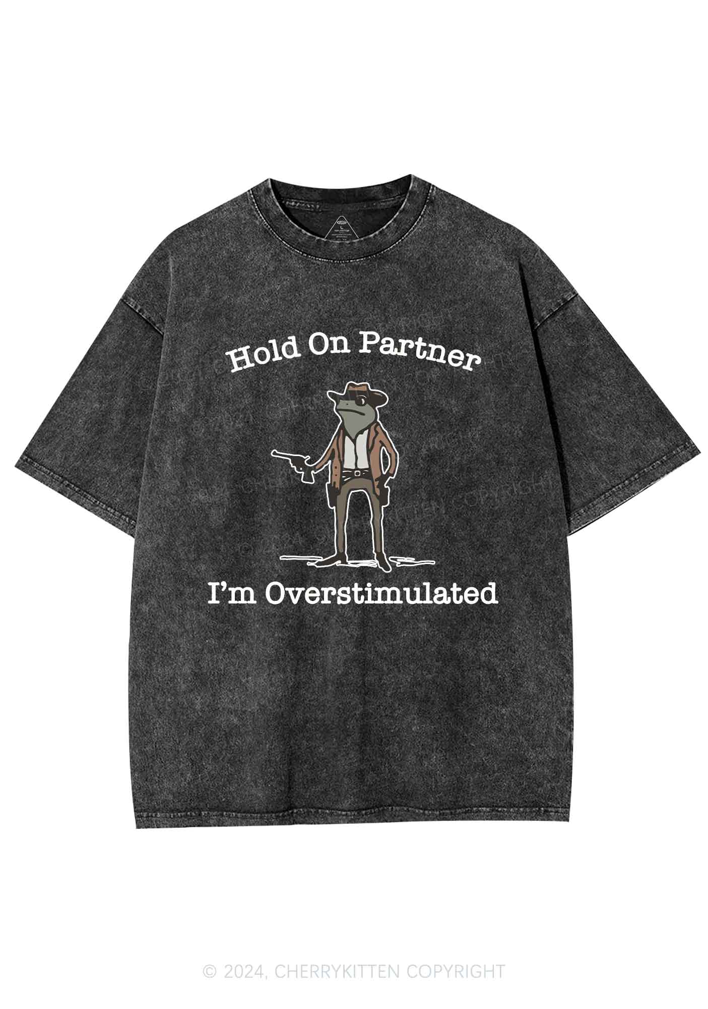 Im Overstimulated Y2K Washed Tee Cherrykitten - Image 4