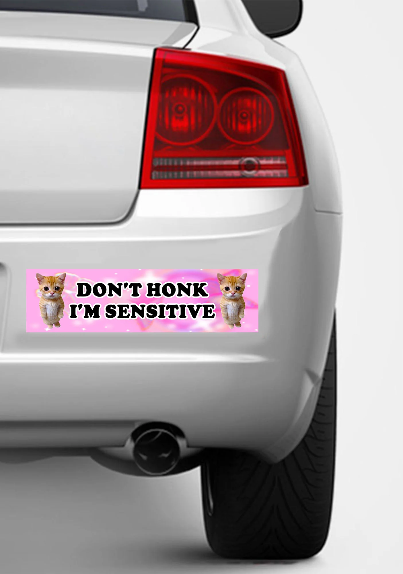 I'm Sensitive Y2K Car Bumper Magnet Cherrykitten - Image 2