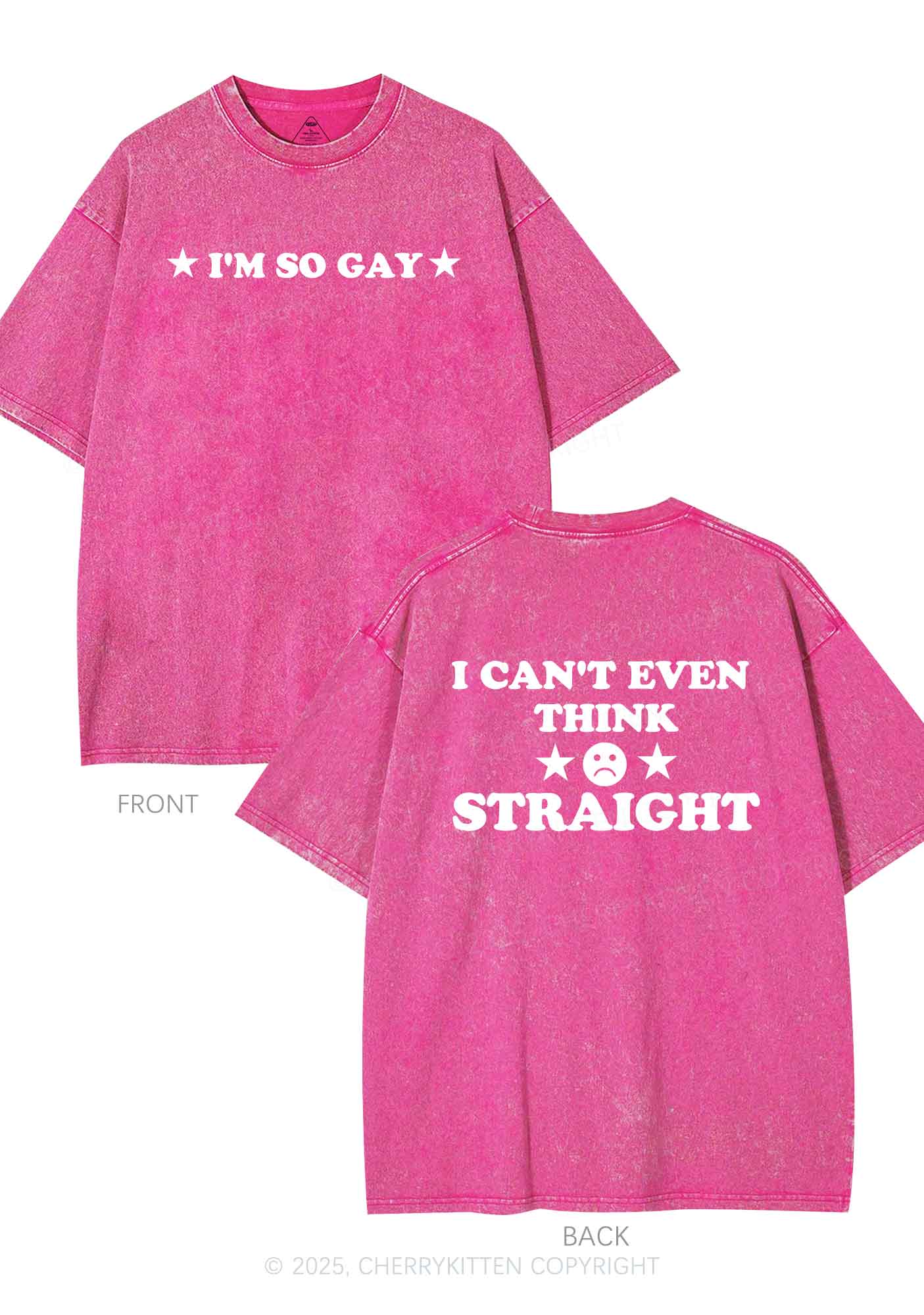 Im So Gay Two Sides Pride Y2K Shirts Washed Tee Cherrykitten - Image 4