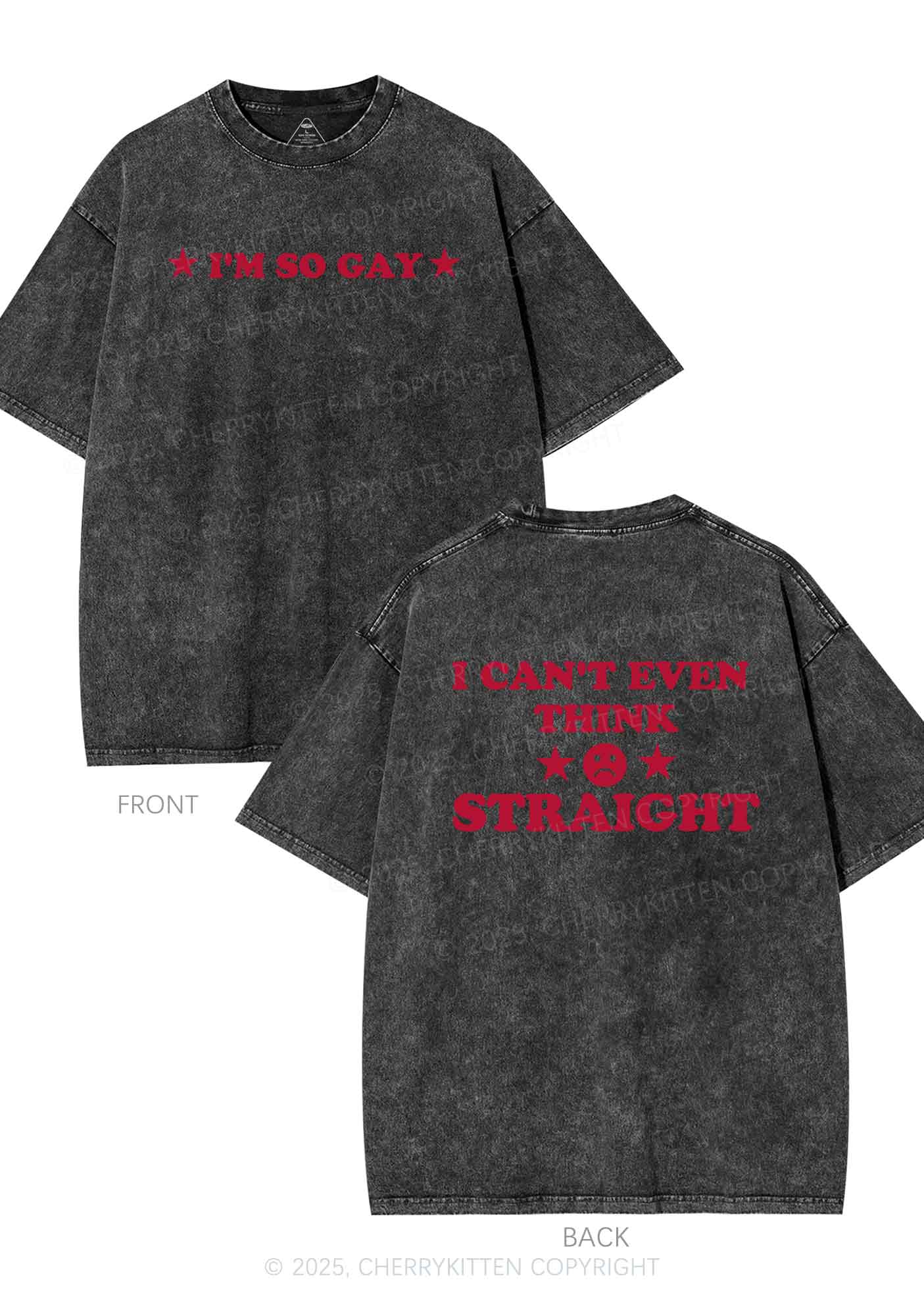 Im So Gay Two Sides Pride Y2K Shirts Washed Tee Cherrykitten - Image 5