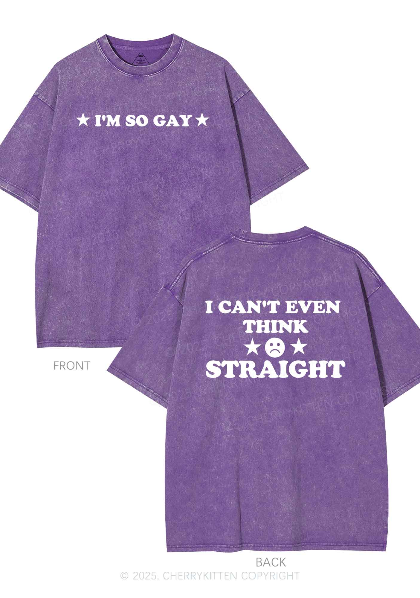 Im So Gay Two Sides Pride Y2K Shirts Washed Tee Cherrykitten - Image 6