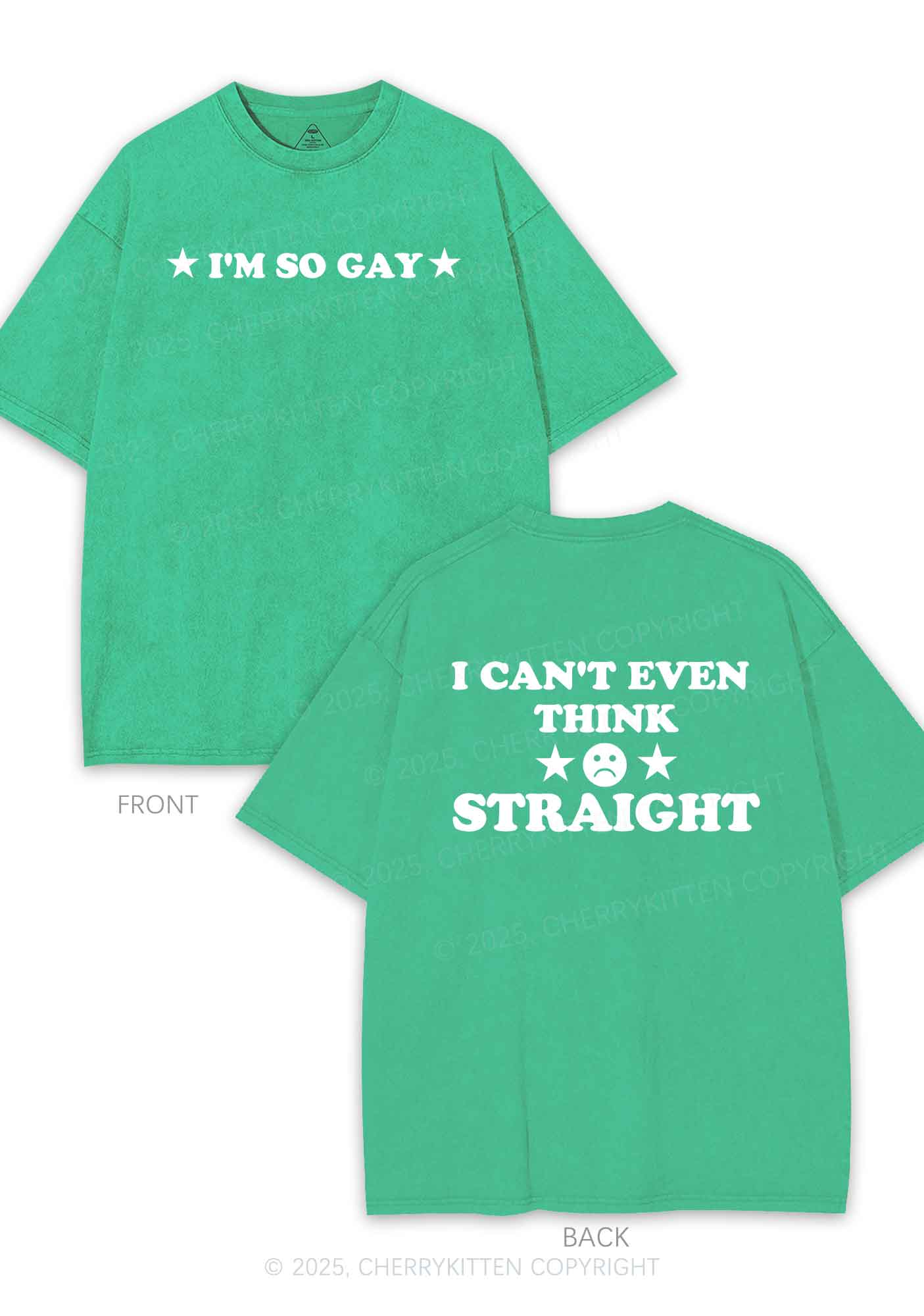 Im So Gay Two Sides Pride Y2K Shirts Washed Tee Cherrykitten - Image 7