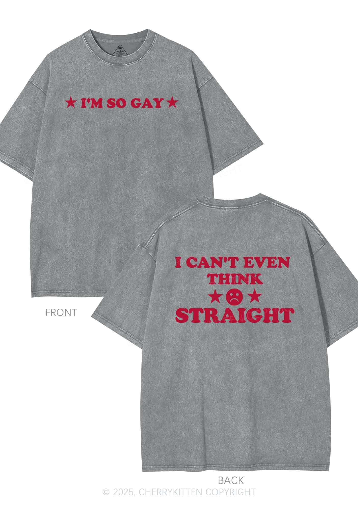 Im So Gay Two Sides Pride Y2K Shirts Washed Tee Cherrykitten - Image 8