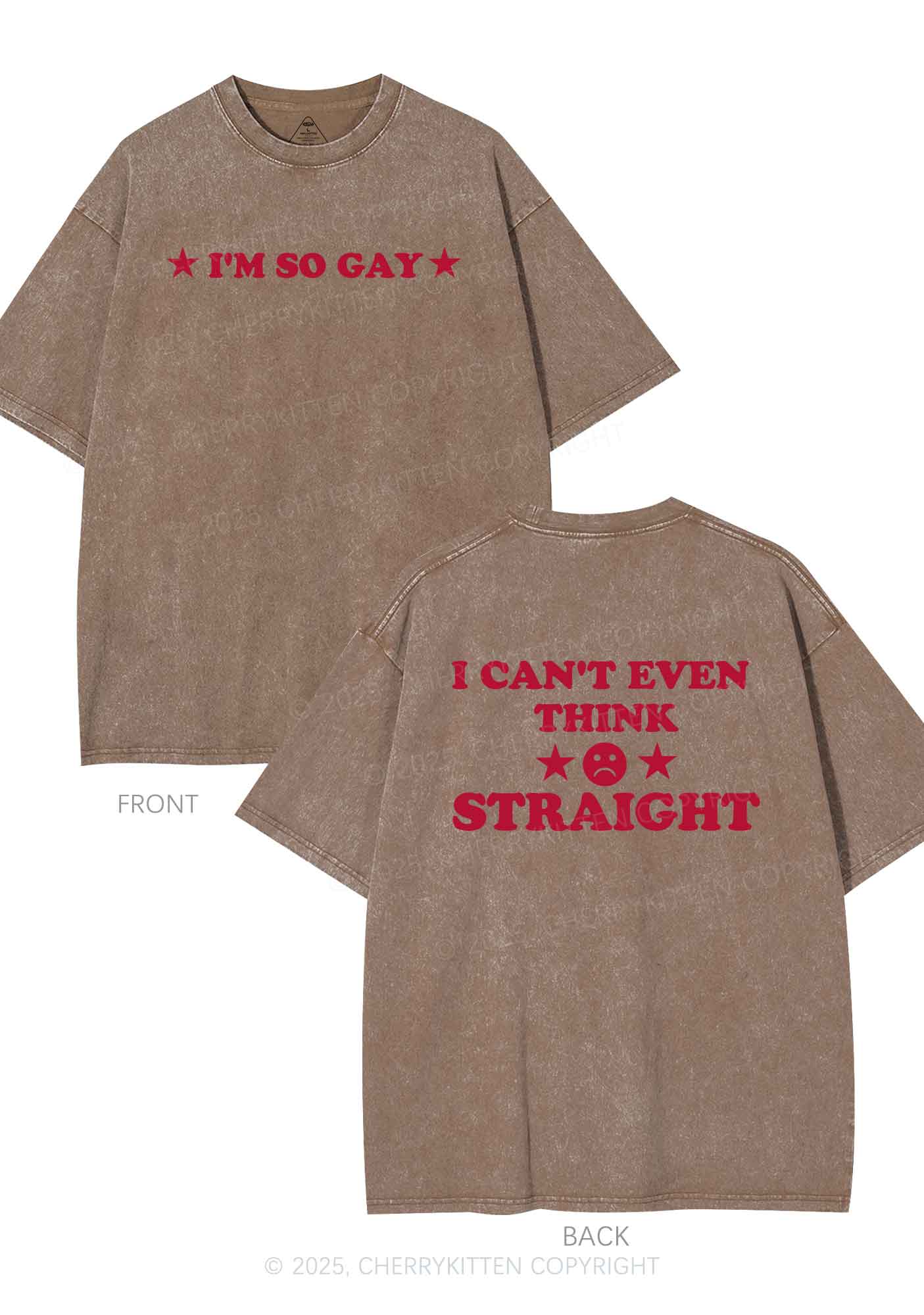 Im So Gay Two Sides Pride Y2K Shirts Washed Tee Cherrykitten - Image 9