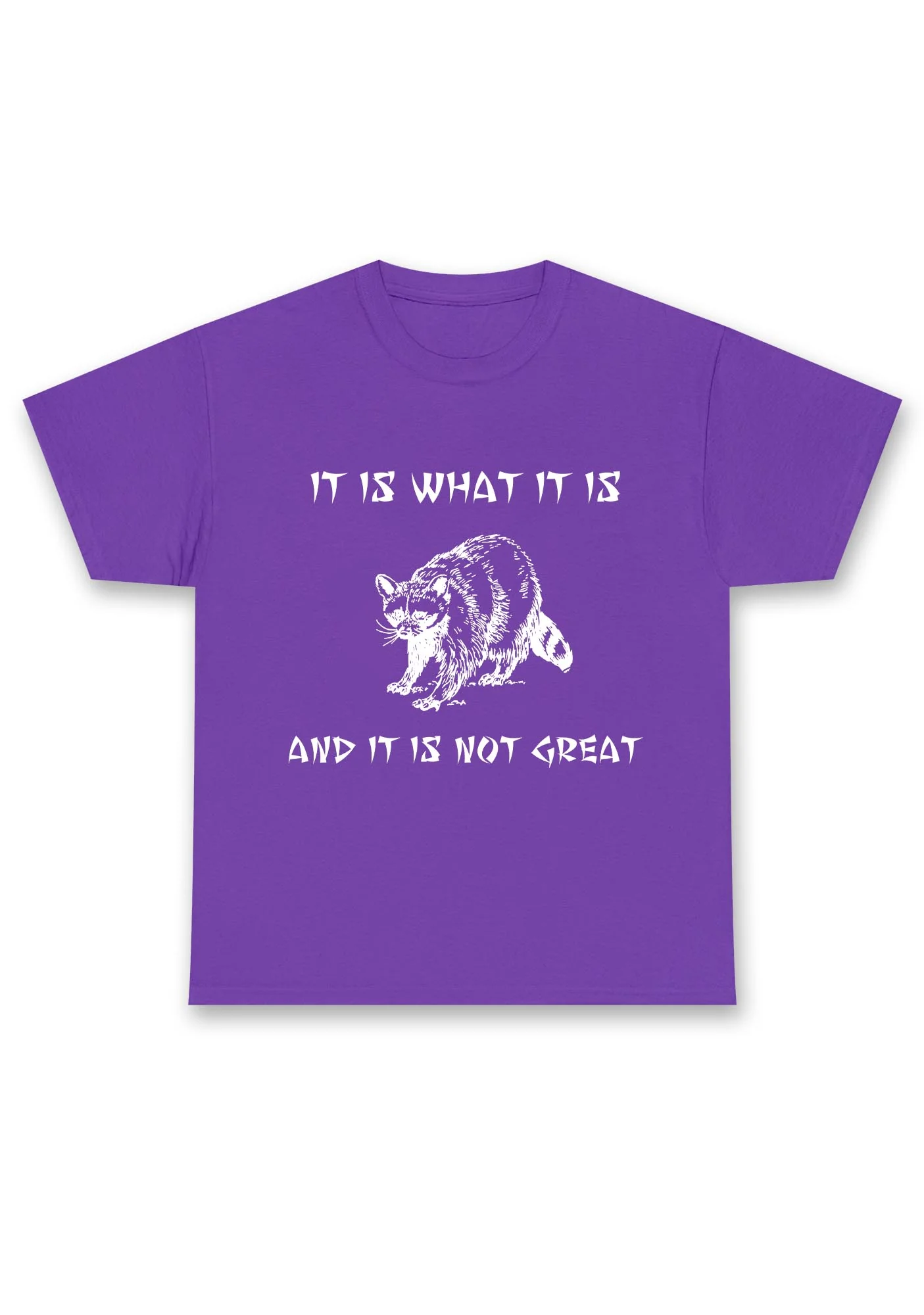 It Is What It Is And It Is Not Great Chunky Shirt - Image 2