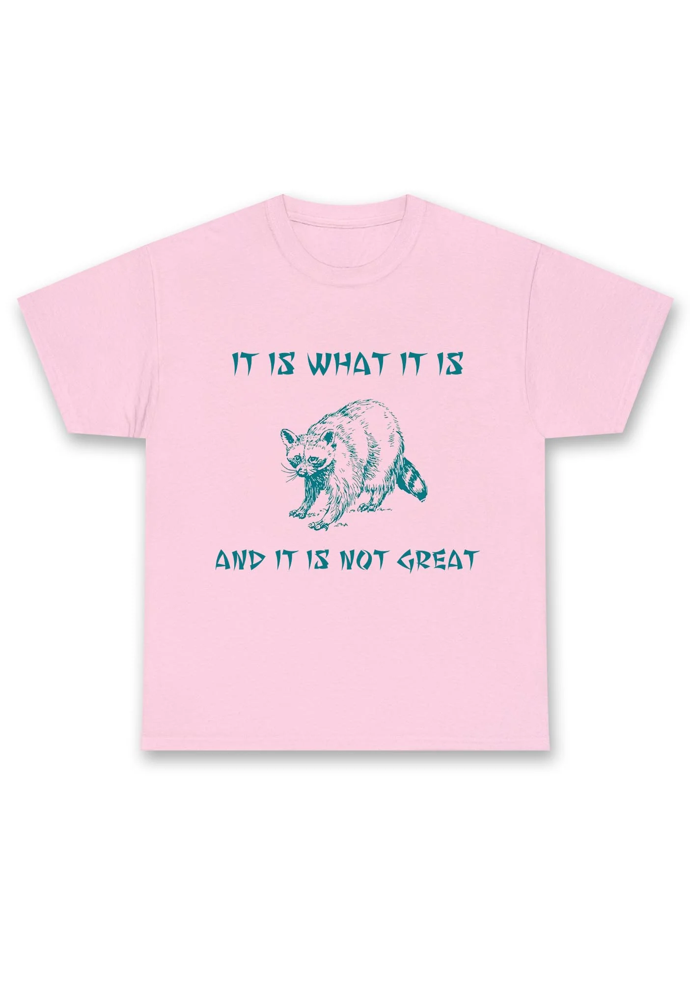 It Is What It Is And It Is Not Great Chunky Shirt - Image 5