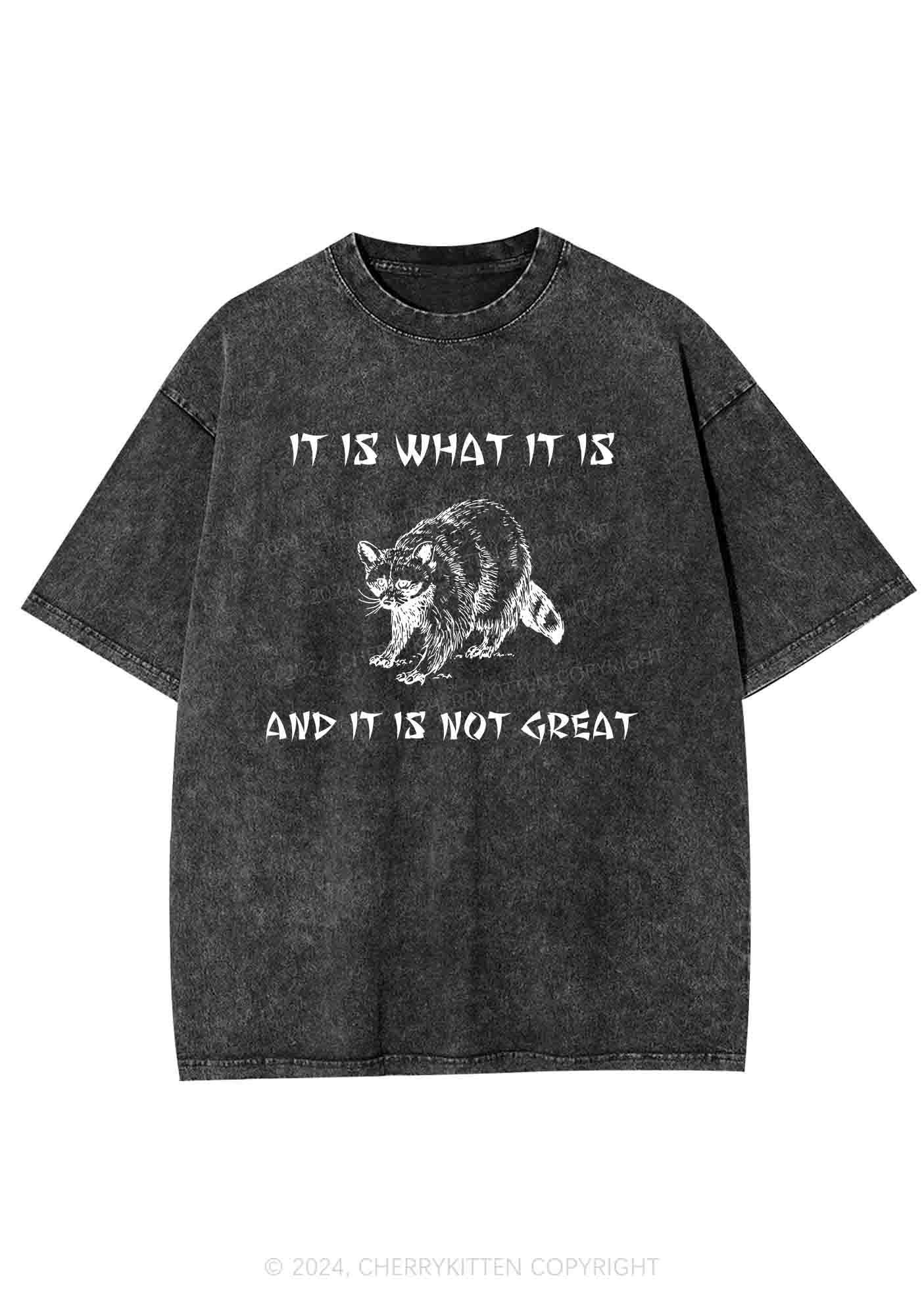 It Is What It Is And It Is Not Great Y2K Washed Tee Cherrykitten - Image 3