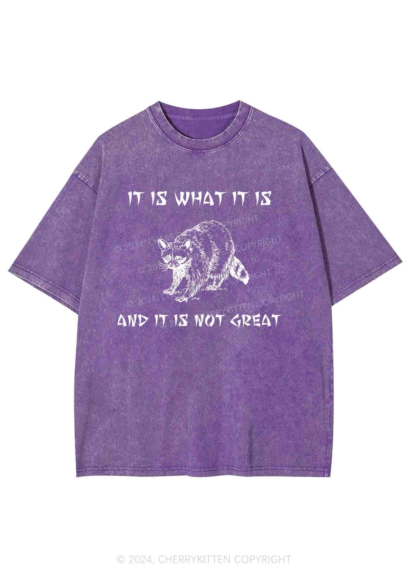 It Is What It Is And It Is Not Great Y2K Washed Tee Cherrykitten - Image 5