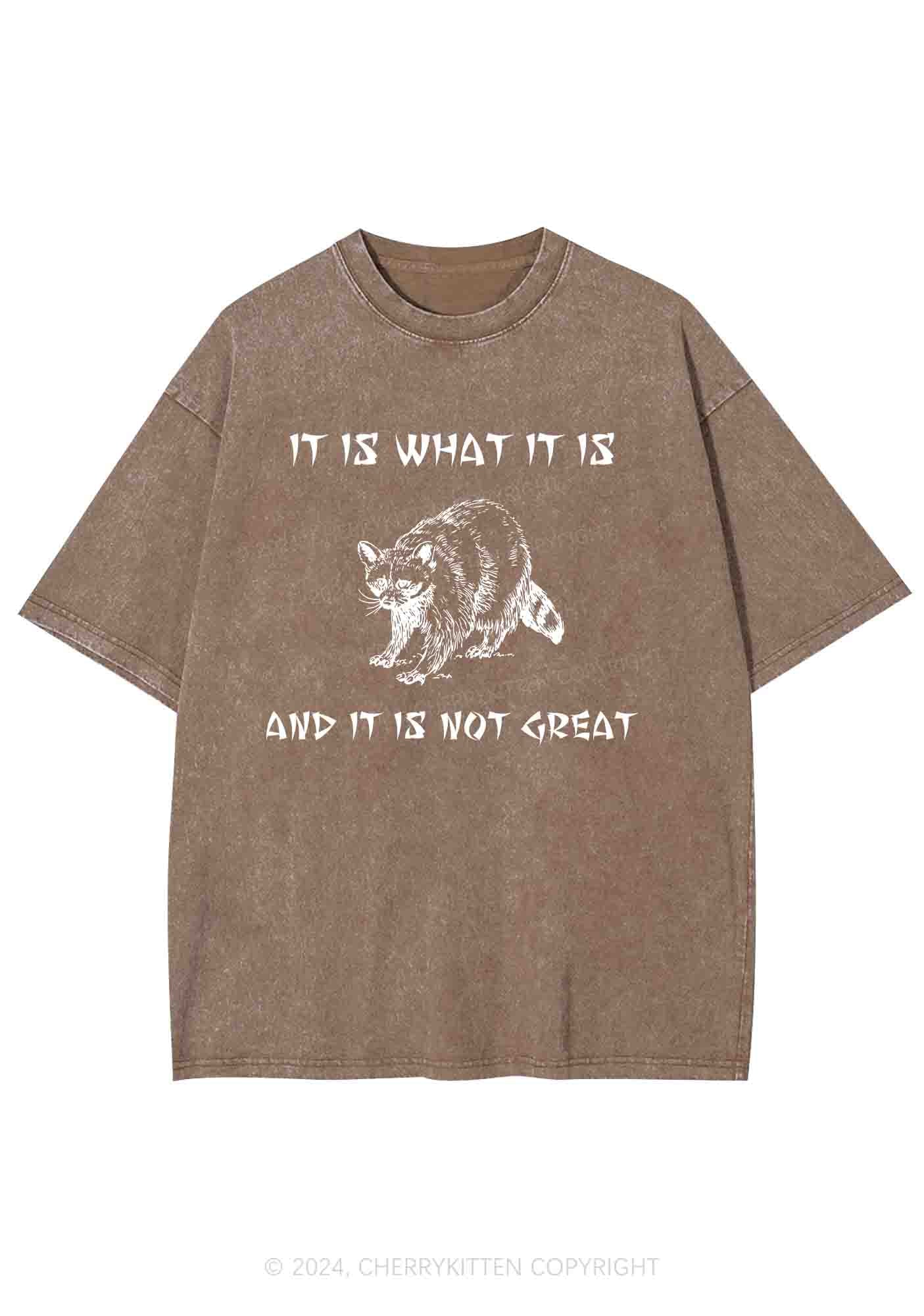 It Is What It Is And It Is Not Great Y2K Washed Tee Cherrykitten - Image 6