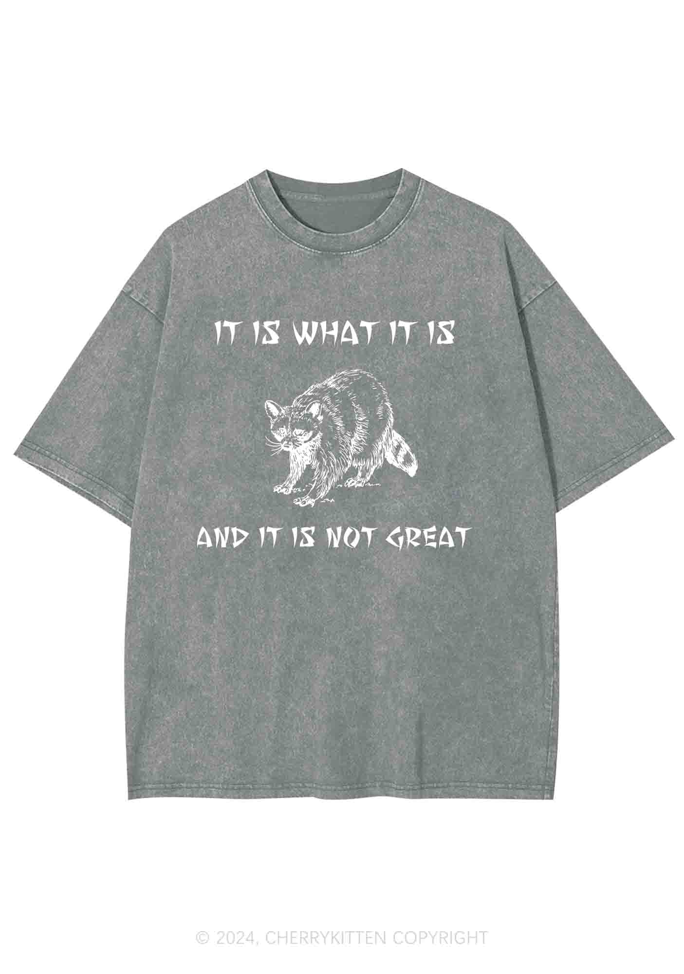 It Is What It Is And It Is Not Great Y2K Washed Tee Cherrykitten - Image 7
