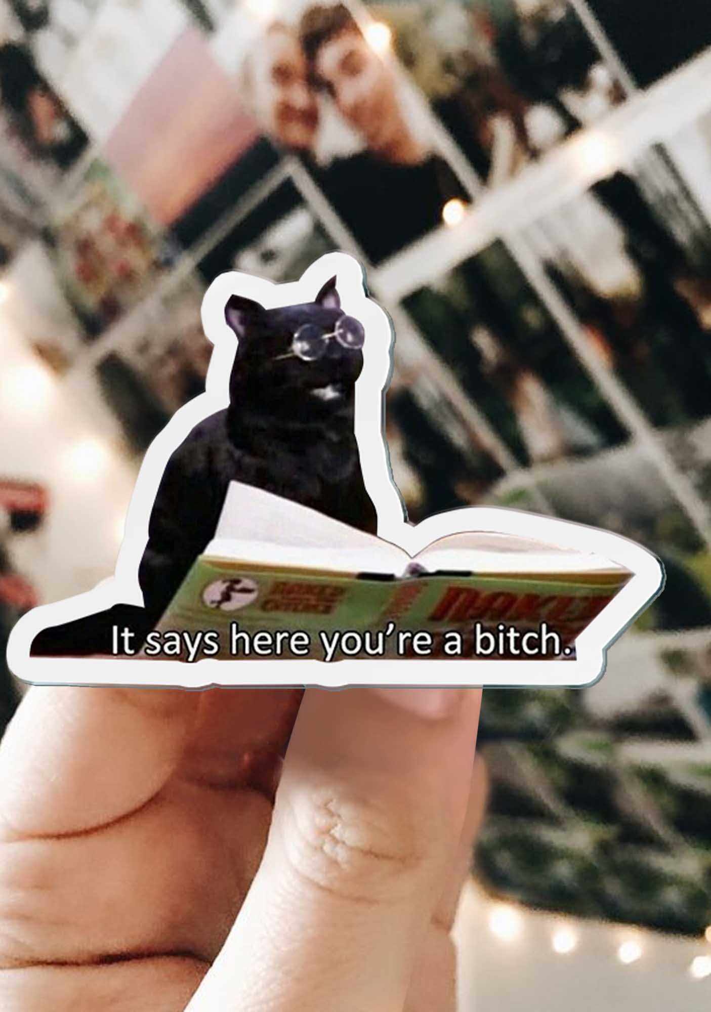 It Says Here You're A Bixxh 1Pc Y2K Pin Cherrykitten - Image 3