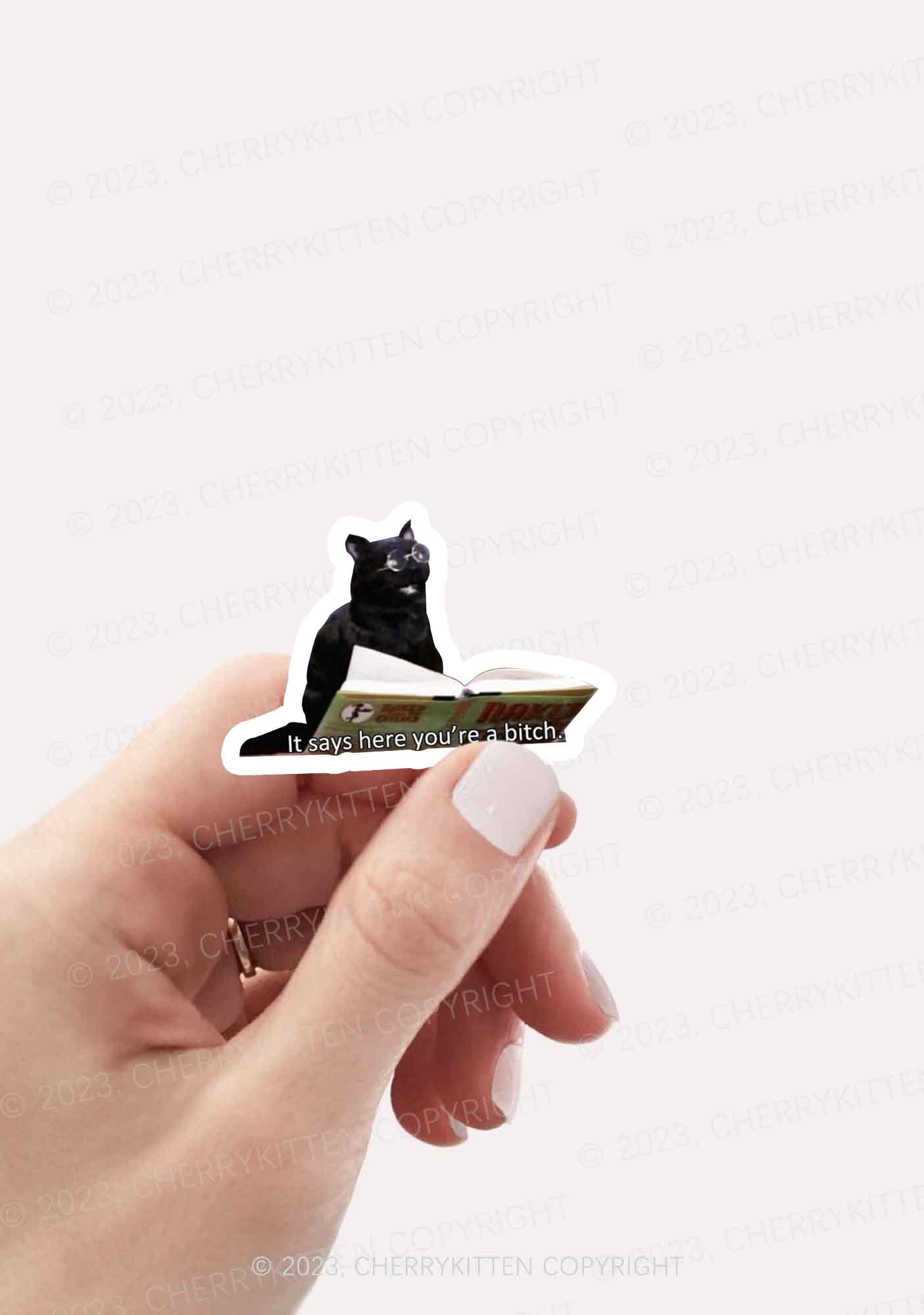 It Says Here You're A Bixxh 1Pc Y2K Sticker Cherrykitten - Image 2