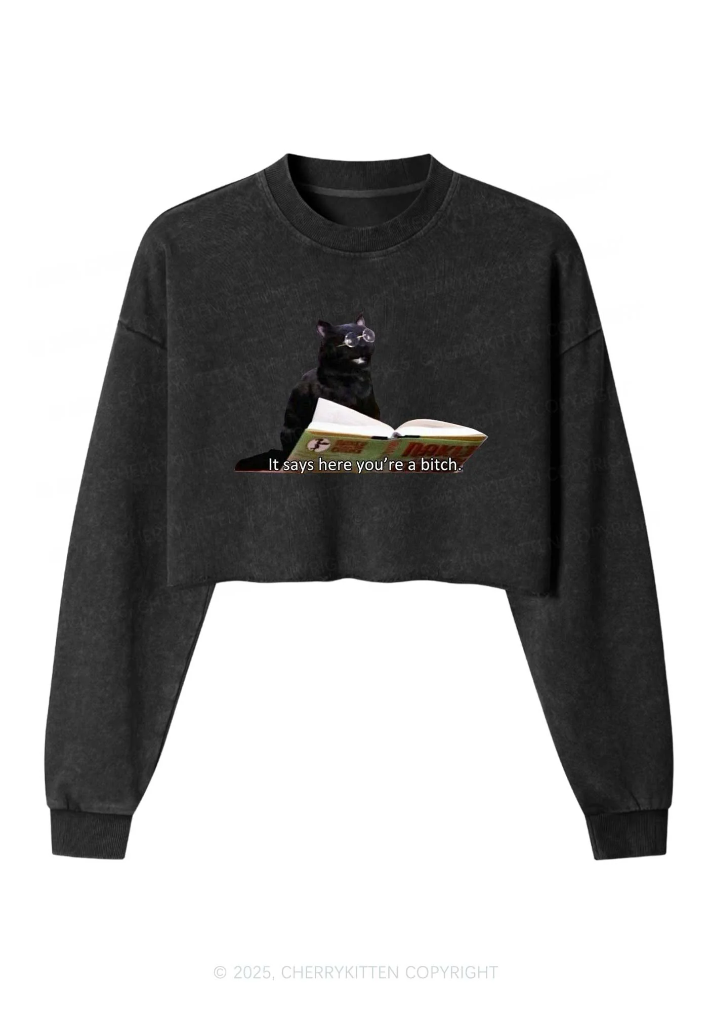 It Says Here Youre A Bixxh Y2K Crop Washed Sweatshirts Cherrykitten - Image 3