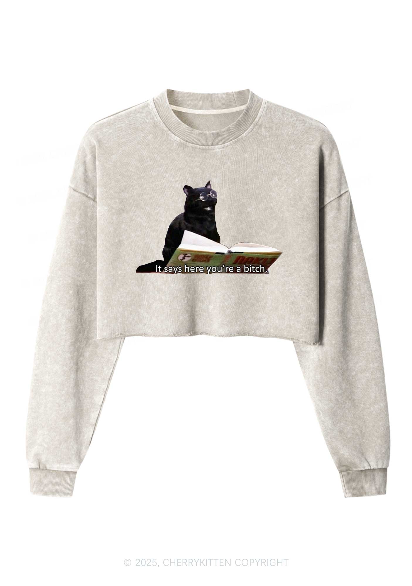 It Says Here Youre A Bixxh Y2K Crop Washed Sweatshirts Cherrykitten - Image 4
