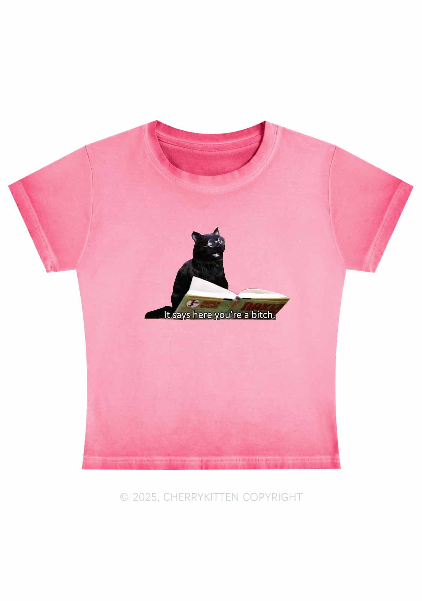 It Says Here You're A Bixxh Y2K Vintage Classic Tee Cherrykitten - Image 2
