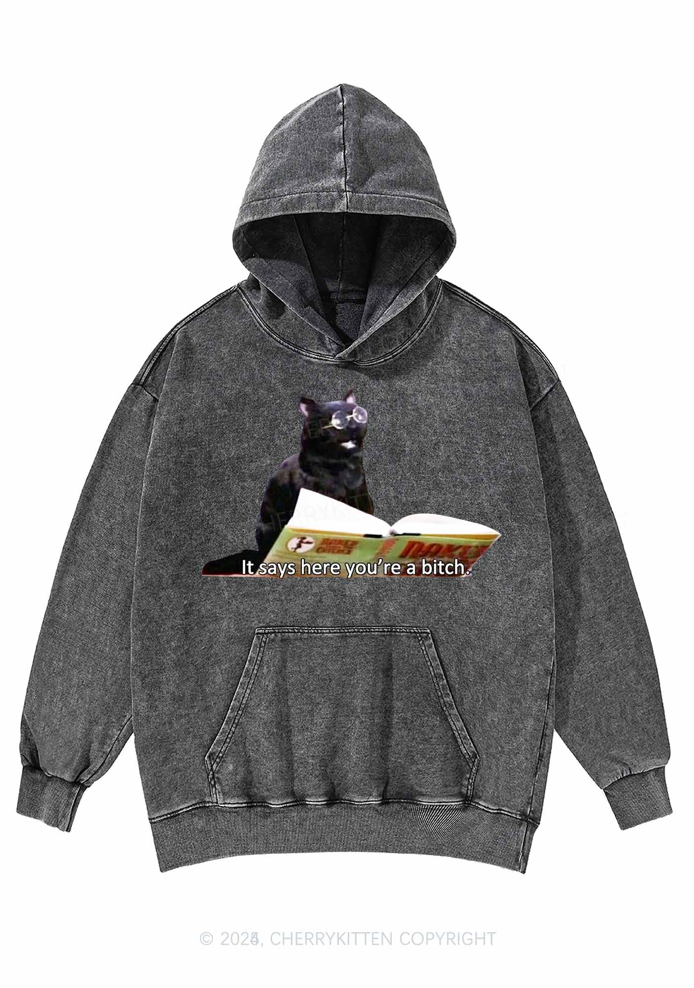 It Says Here Youre A Bixxh Y2K Washed Hoodie Cherrykitten - Image 3