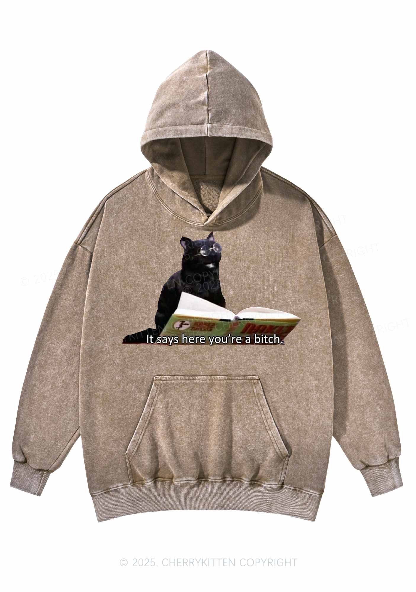 It Says Here Youre A Bixxh Y2K Washed Hoodie Cherrykitten - Image 4