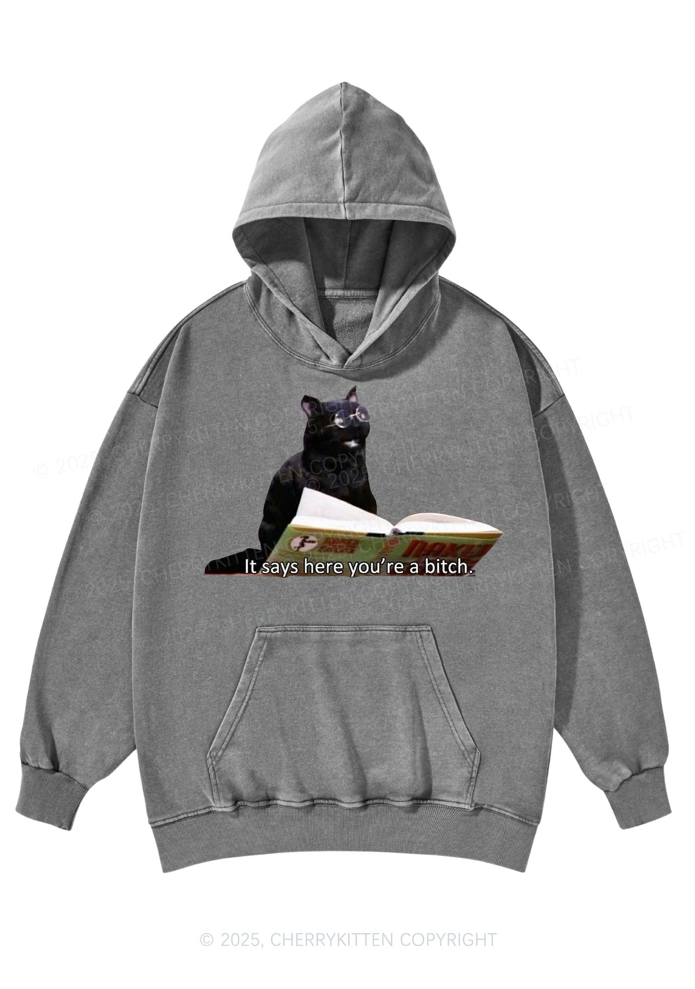 It Says Here Youre A Bixxh Y2K Washed Hoodie Cherrykitten - Image 5