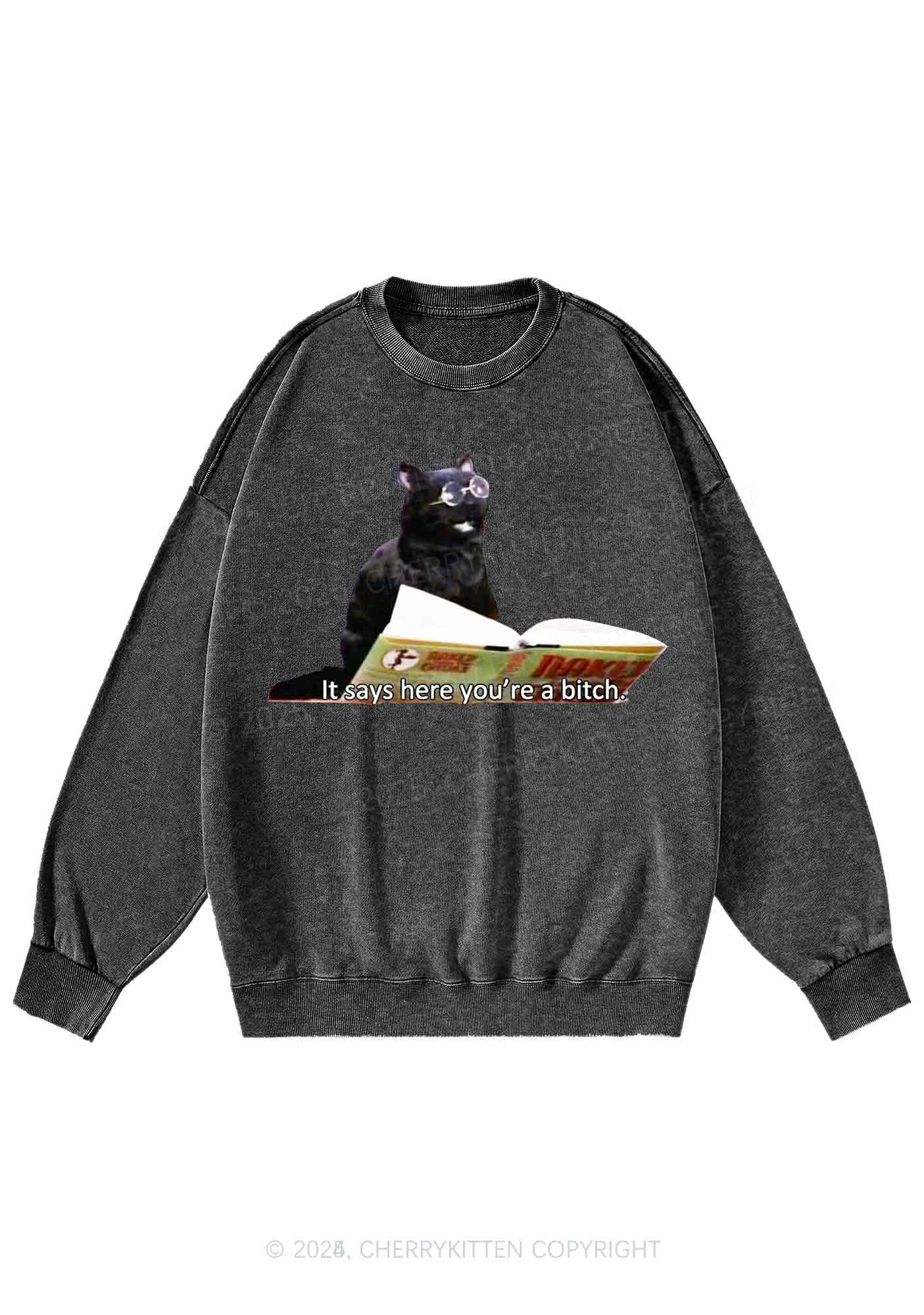 It Says Here Youre A Bixxh Y2K Washed Sweatshirts Cherrykitten - Image 3