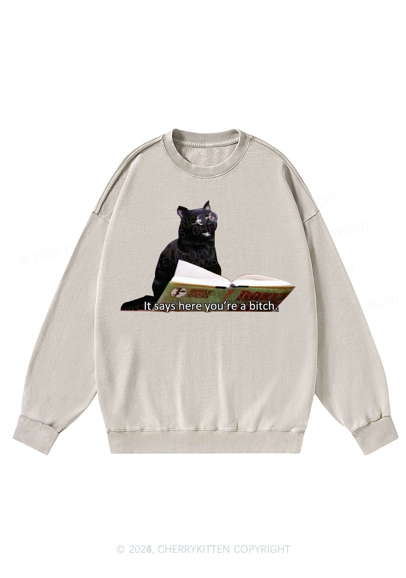 It Says Here Youre A Bixxh Y2K Washed Sweatshirts Cherrykitten - Image 4