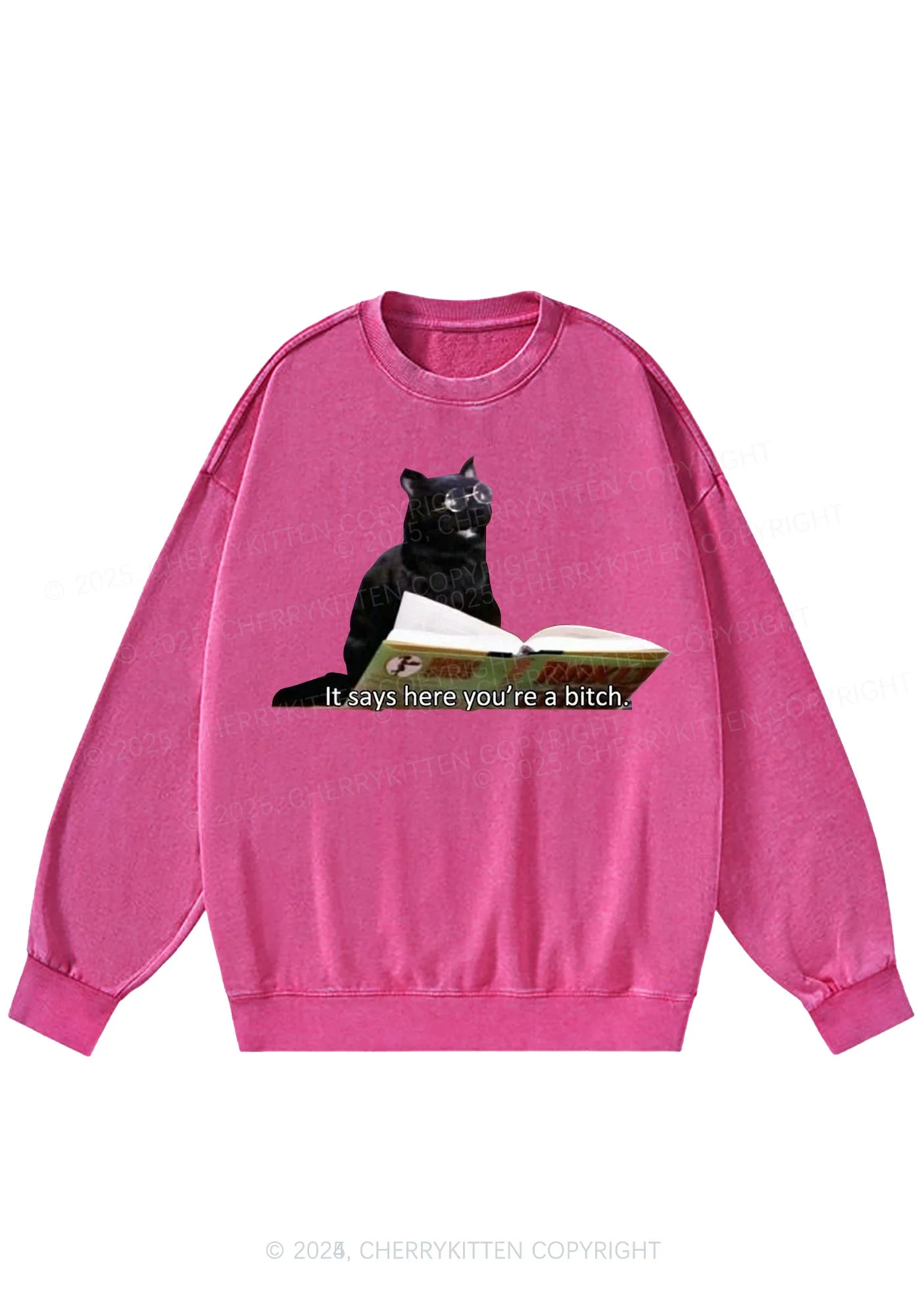 It Says Here Youre A Bixxh Y2K Washed Sweatshirts Cherrykitten - Image 5
