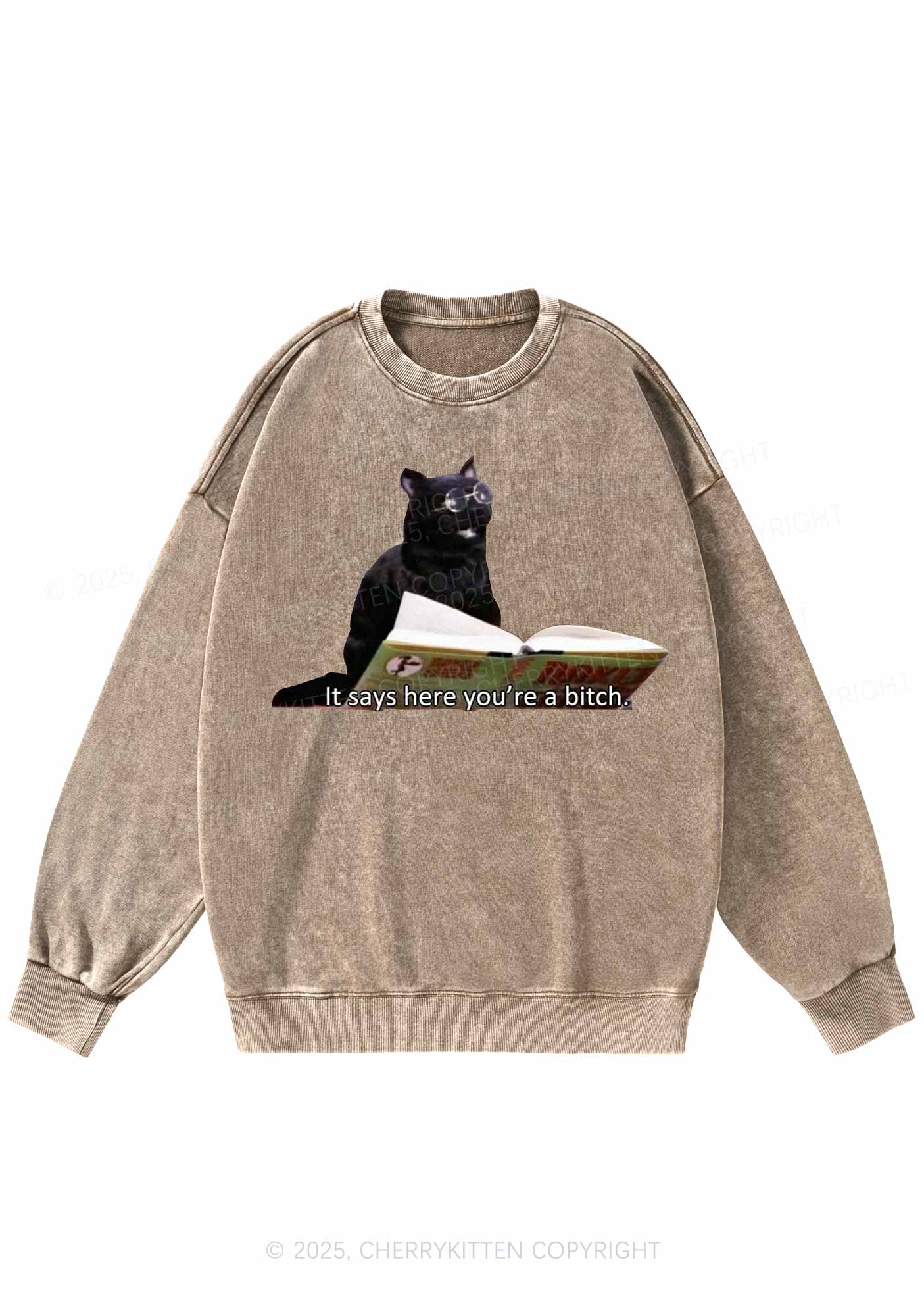 It Says Here Youre A Bixxh Y2K Washed Sweatshirts Cherrykitten - Image 6