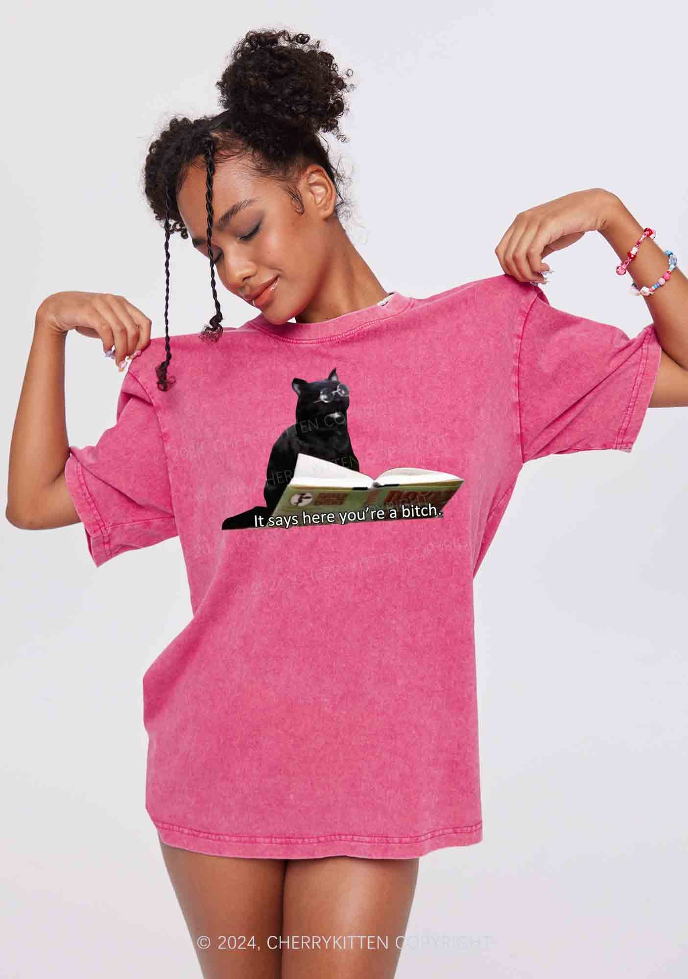 It Says Here You're A Bixxh Y2K Washed Tee Cherrykitten - Image 2