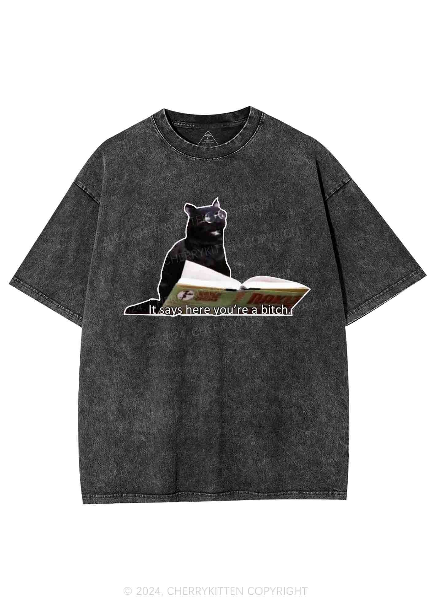 It Says Here You're A Bixxh Y2K Washed Tee Cherrykitten - Image 4