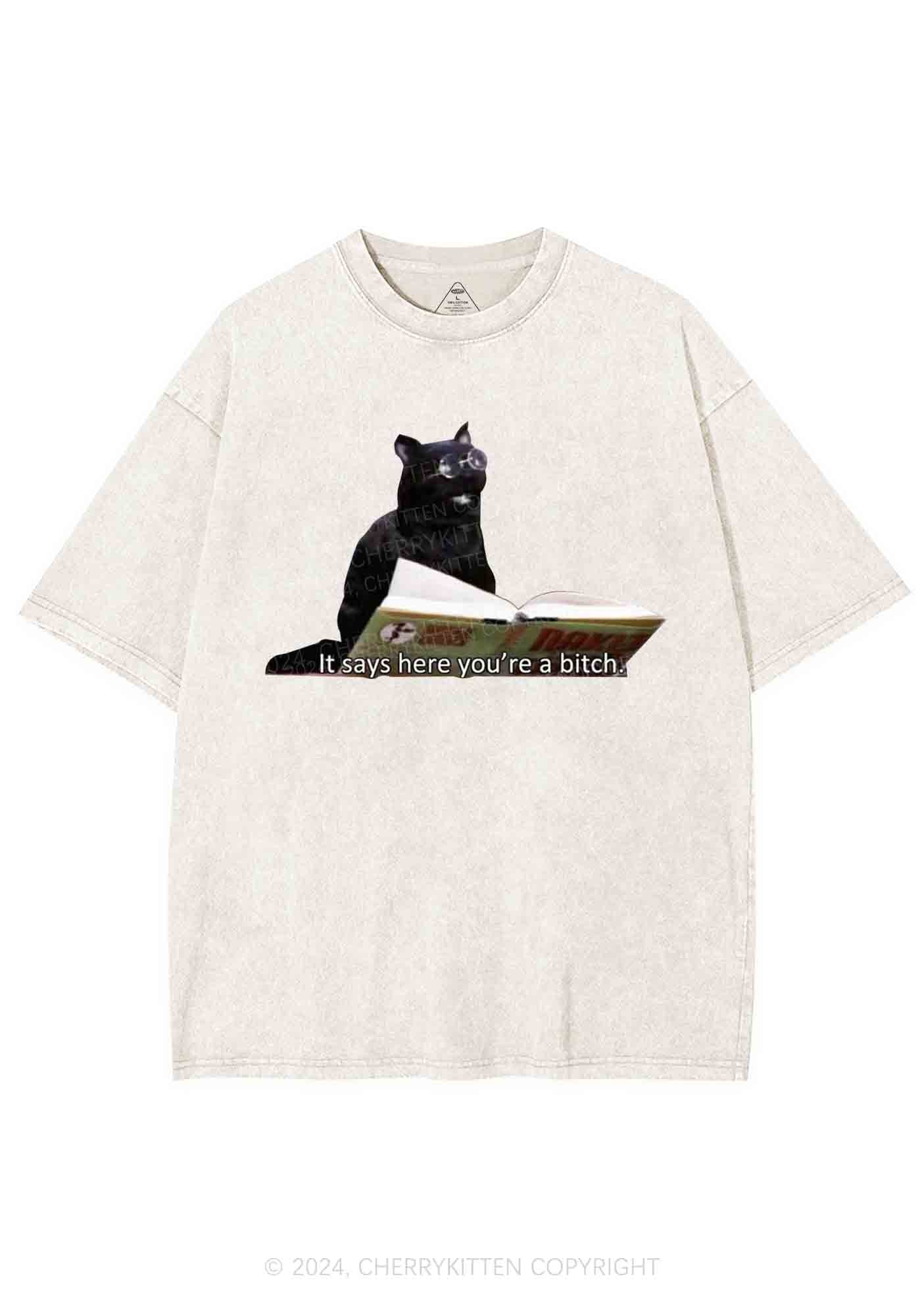 It Says Here You're A Bixxh Y2K Washed Tee Cherrykitten - Image 5