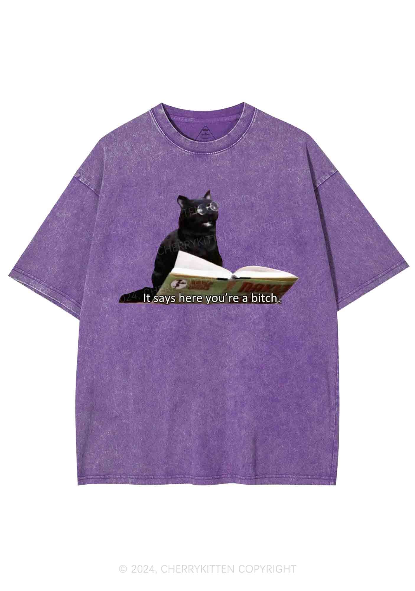 It Says Here You're A Bixxh Y2K Washed Tee Cherrykitten - Image 6