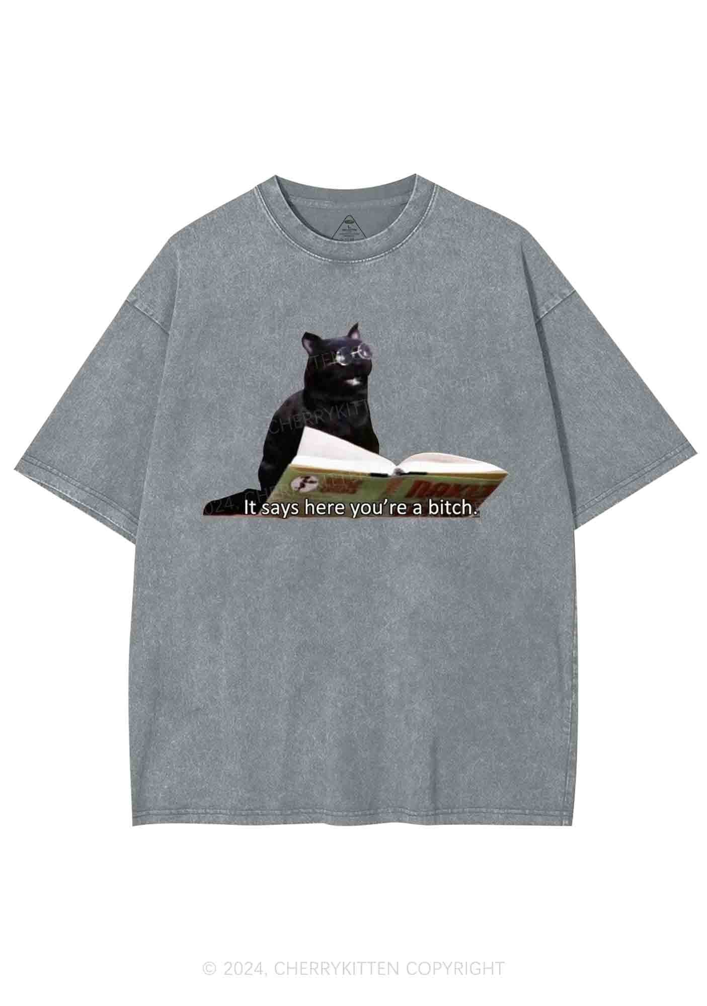 It Says Here You're A Bixxh Y2K Washed Tee Cherrykitten - Image 7