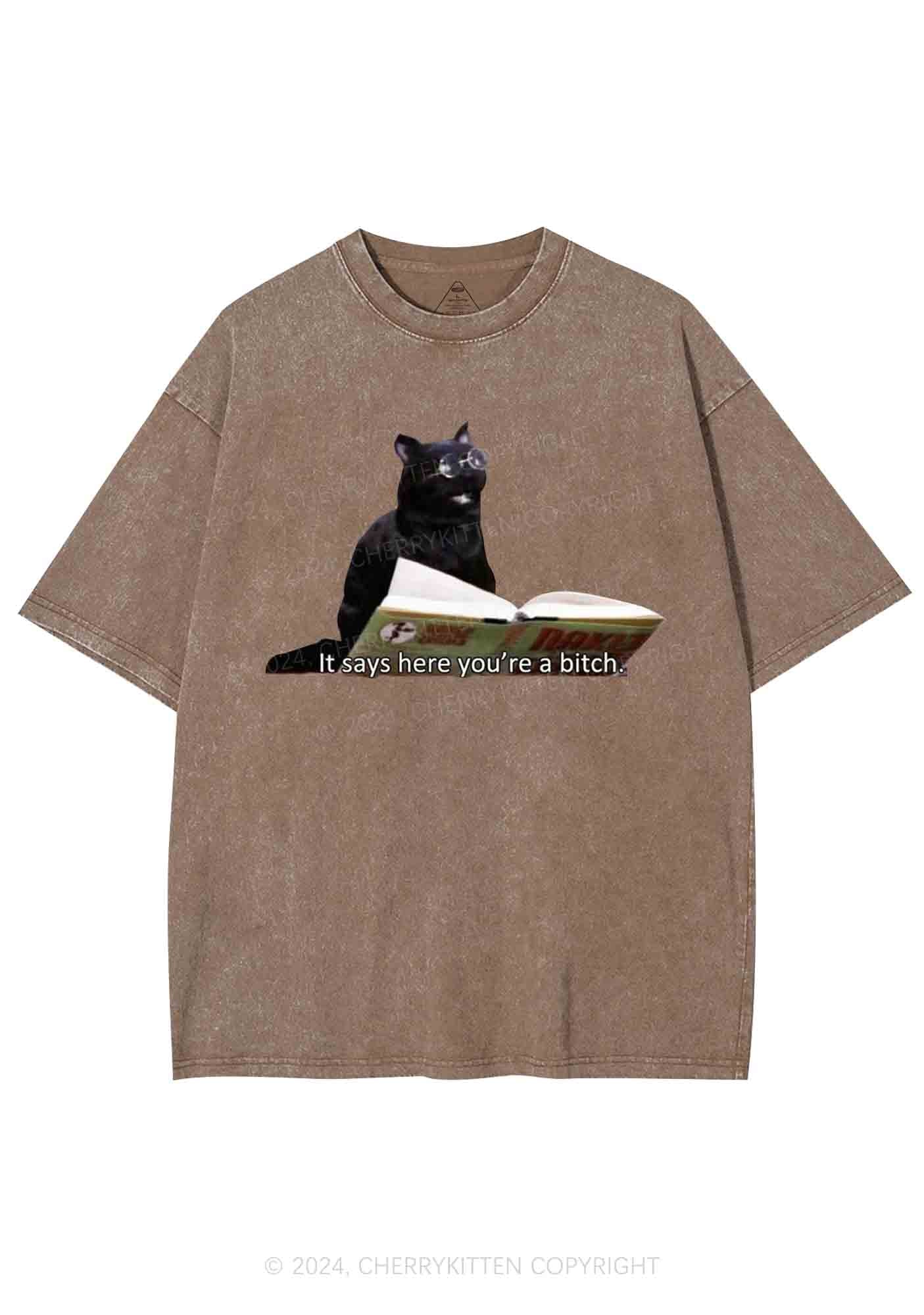 It Says Here You're A Bixxh Y2K Washed Tee Cherrykitten - Image 8