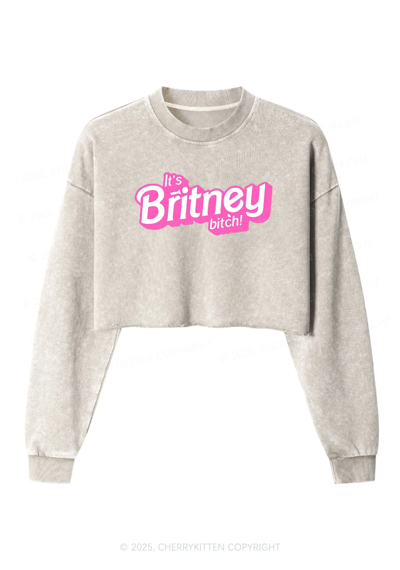 Its Britney Bixch Y2K Crop Washed Sweatshirts Cherrykitten - Image 3