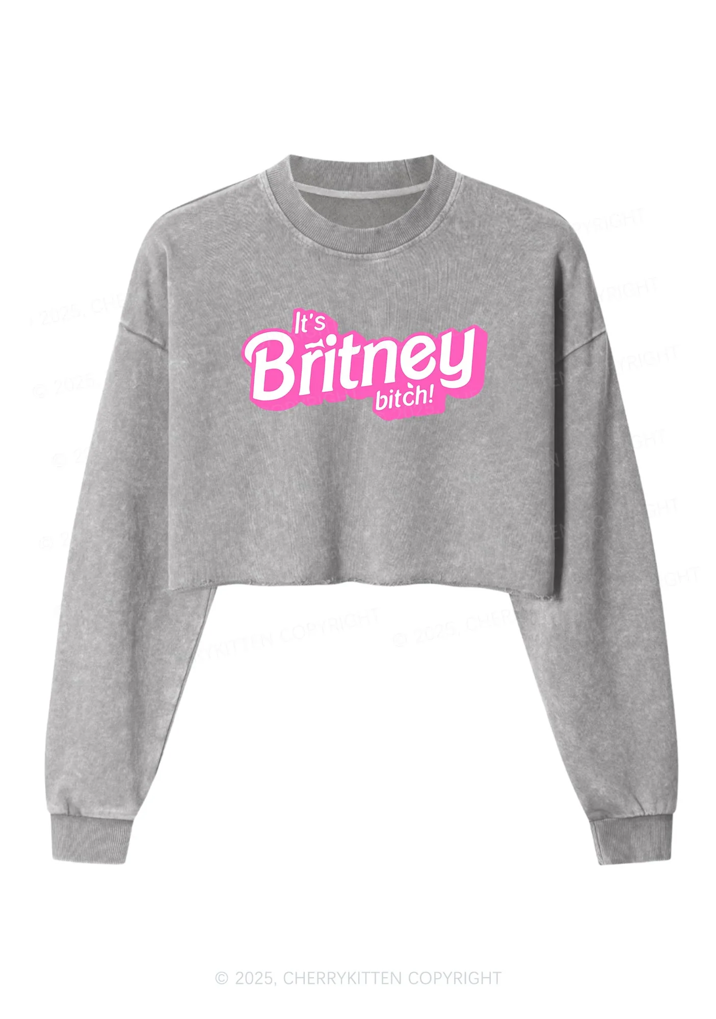 Its Britney Bixch Y2K Crop Washed Sweatshirts Cherrykitten - Image 4
