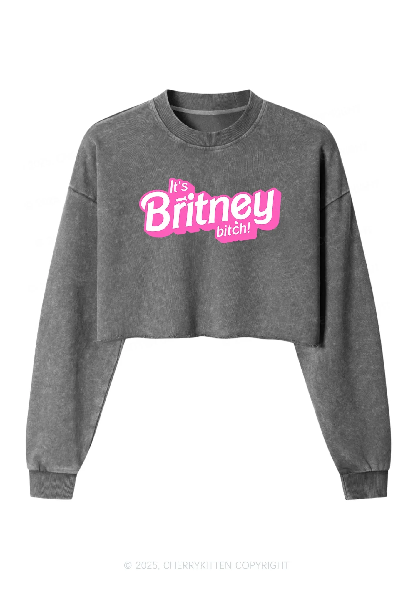 Its Britney Bixch Y2K Crop Washed Sweatshirts Cherrykitten - Image 5