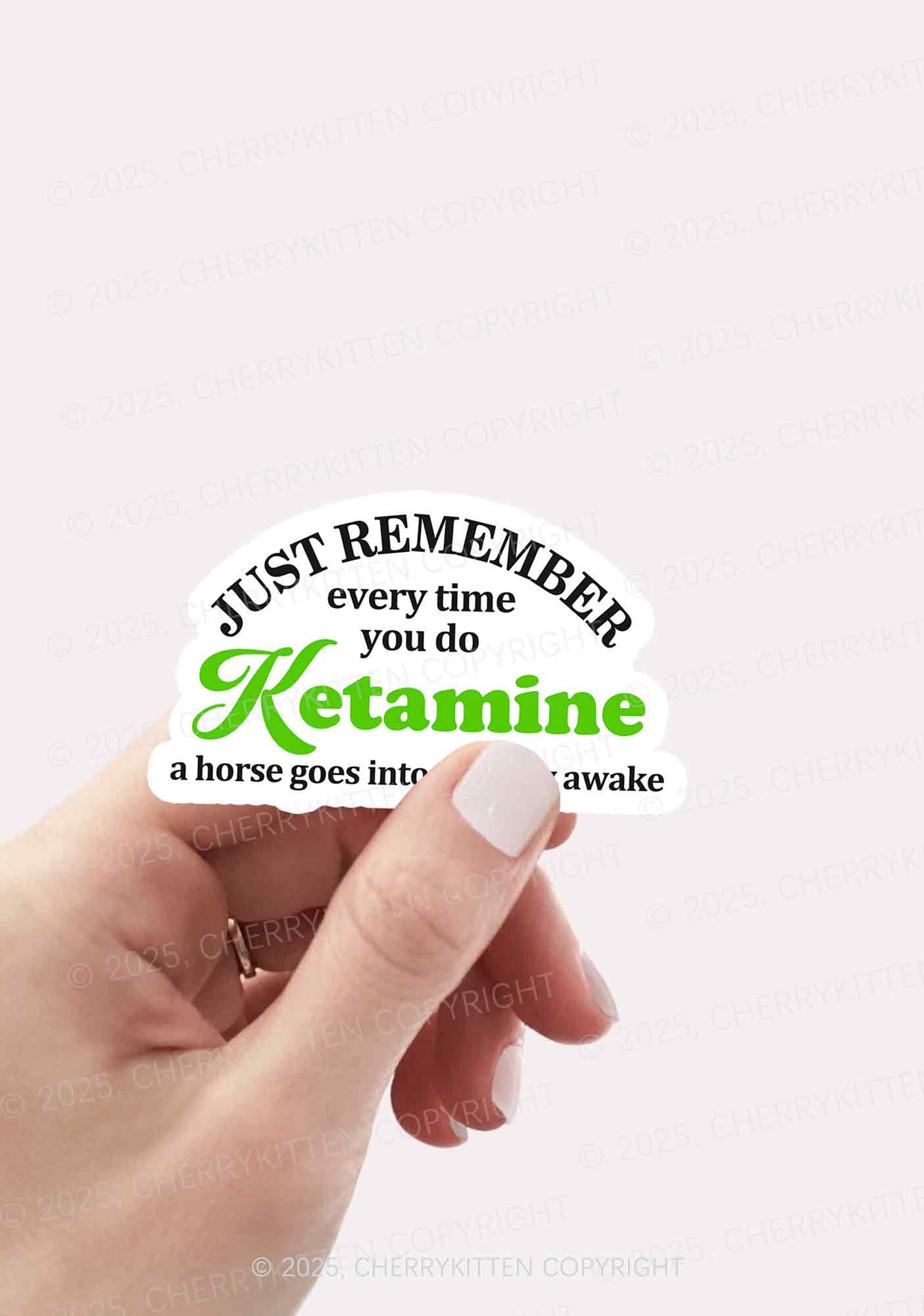Just Remember K Horse 1Pc Y2K Sticker Cherrykitten - Image 2