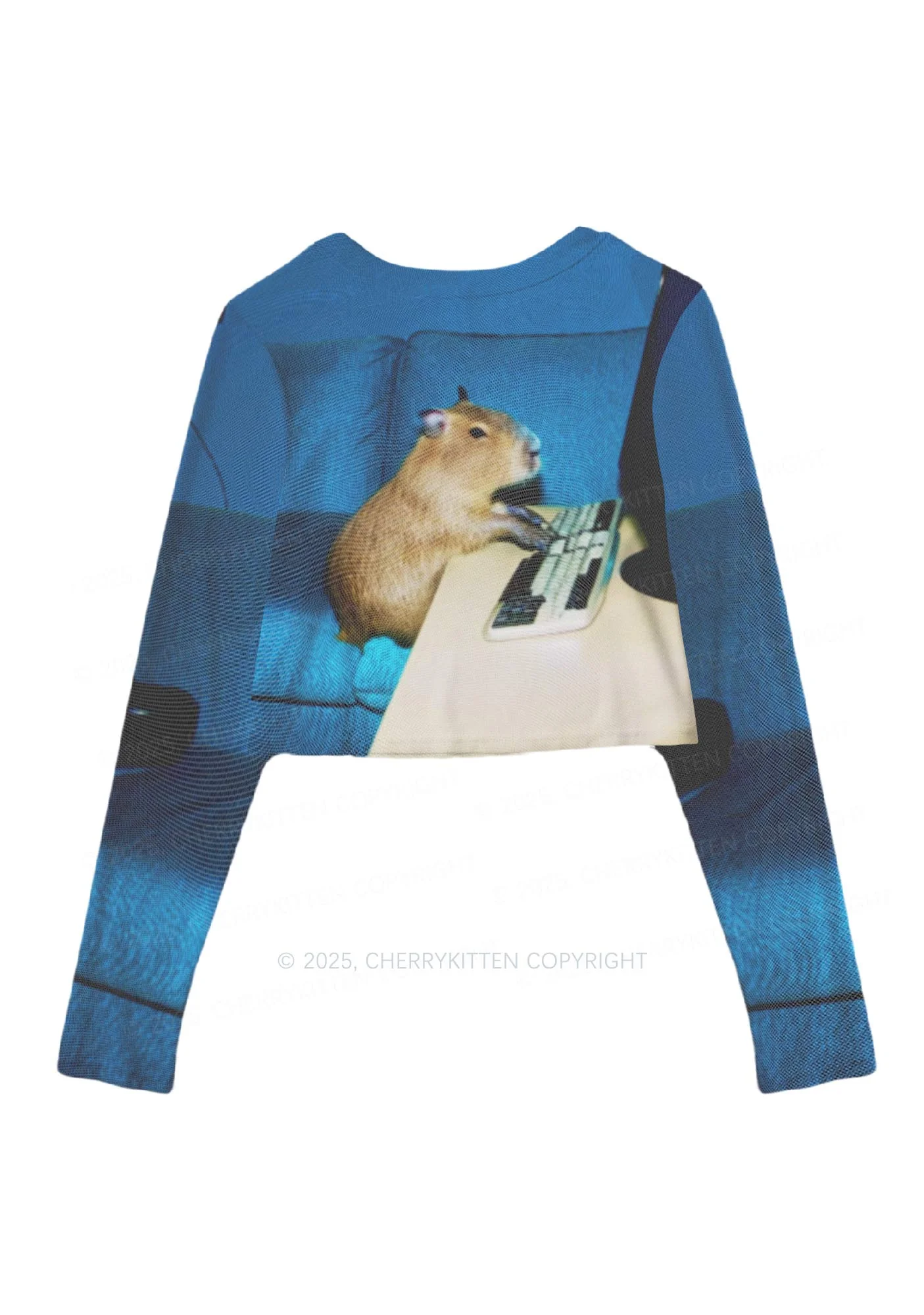 Keyboard Capybara Y2K Mesh Long Sleeve Crop Top Cherrykitten - Image 3