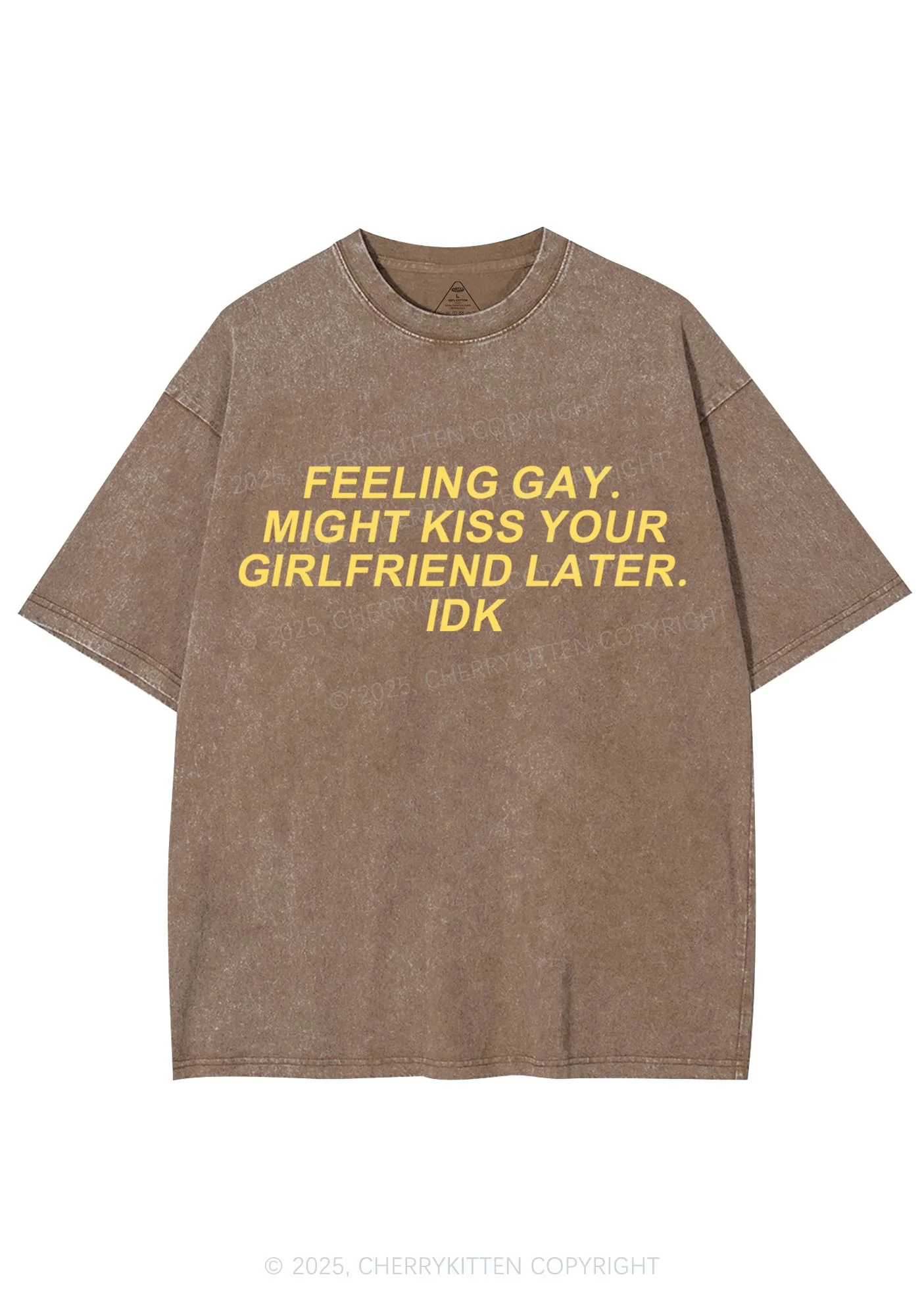 Kiss Your GF Later Pride Y2K Shirts Washed Tee Cherrykitten - Image 5